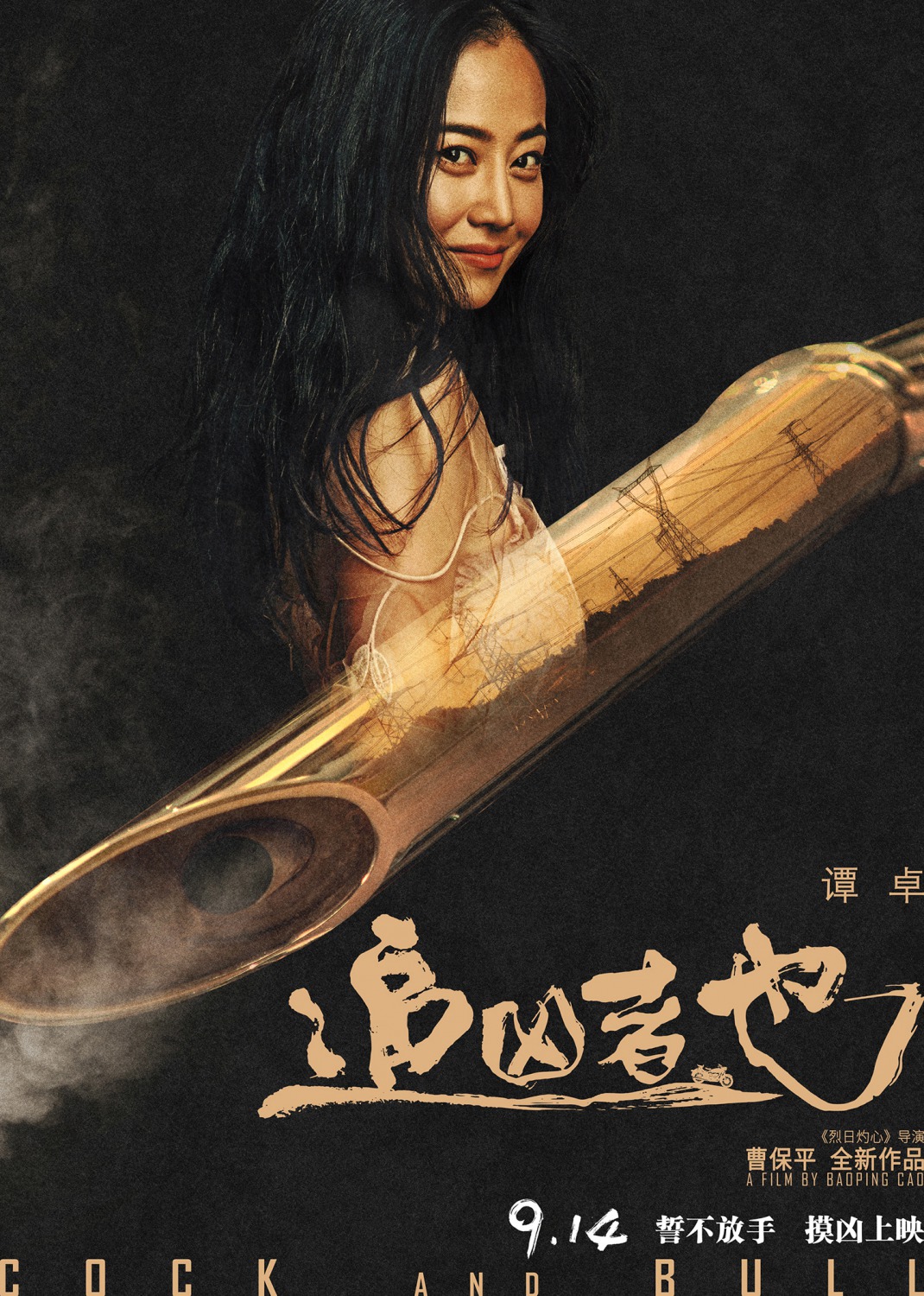 Extra Large Movie Poster Image for Zhui xiong zhe ye (#13 of 16)