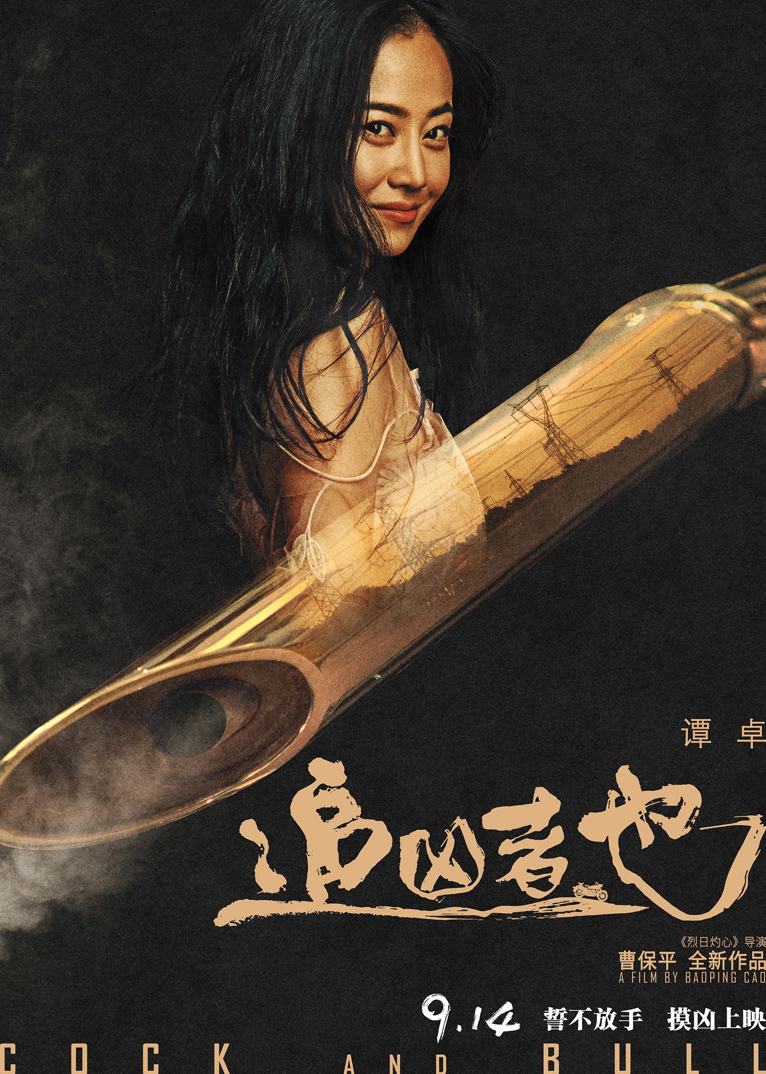 Mega Sized Movie Poster Image for Zhui xiong zhe ye (#13 of 16)