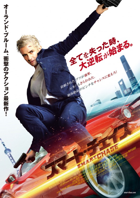 Smart Chase: Fire & Earth Movie Poster
