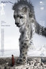 Snow Leopard (2024) Thumbnail