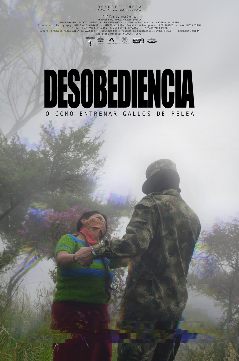 Extra Large Movie Poster Image for Desobediencia: o cómo Entrenar Gallos de Pelea 