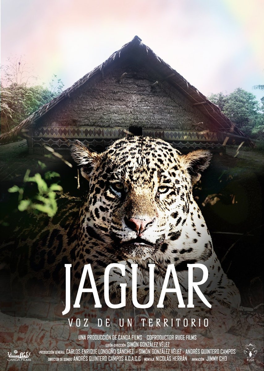 Extra Large Movie Poster Image for Jaguar Voz de un Territorio 
