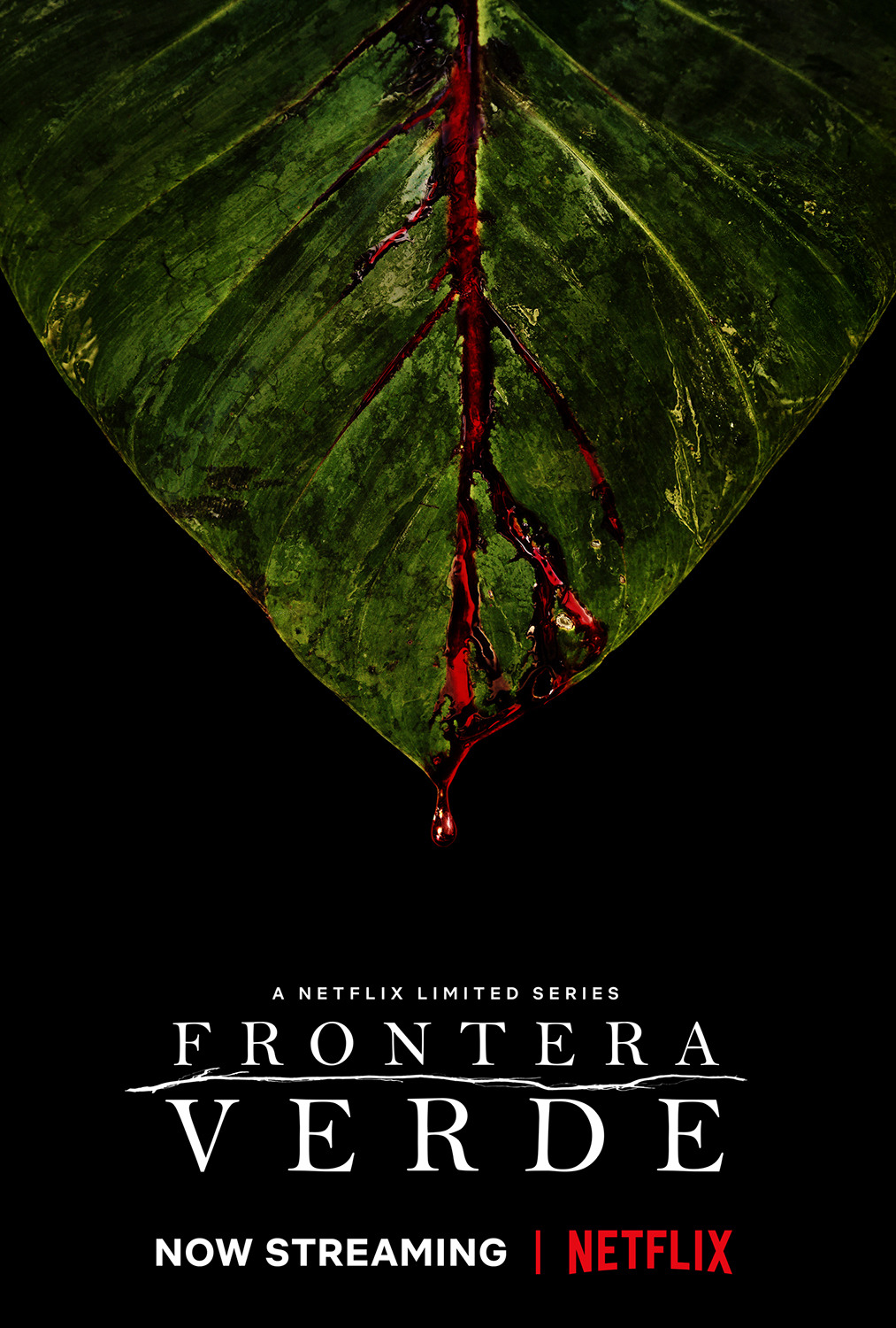 Extra Large TV Poster Image for Frontera Verde (#4 of 4)