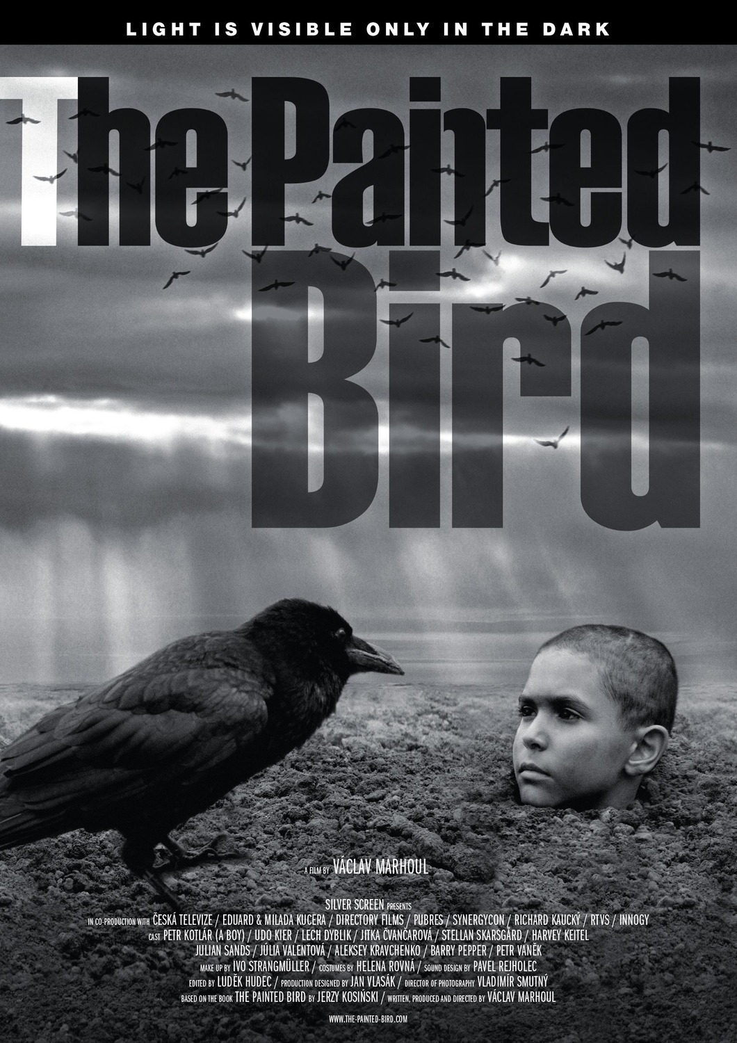 Extra Large Movie Poster Image for The Painted Bird (#1 of 3)