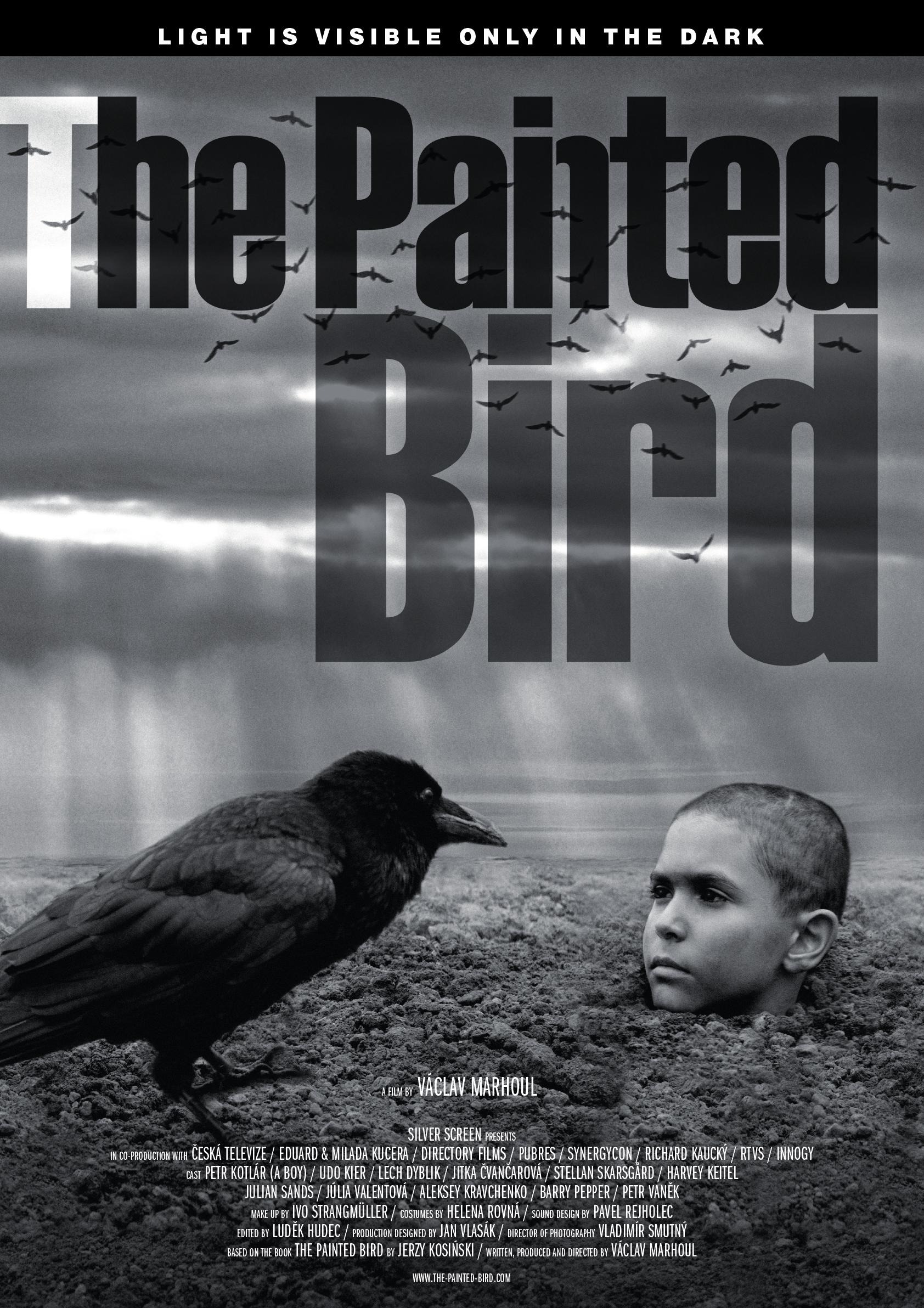 Mega Sized Movie Poster Image for The Painted Bird (#1 of 3)