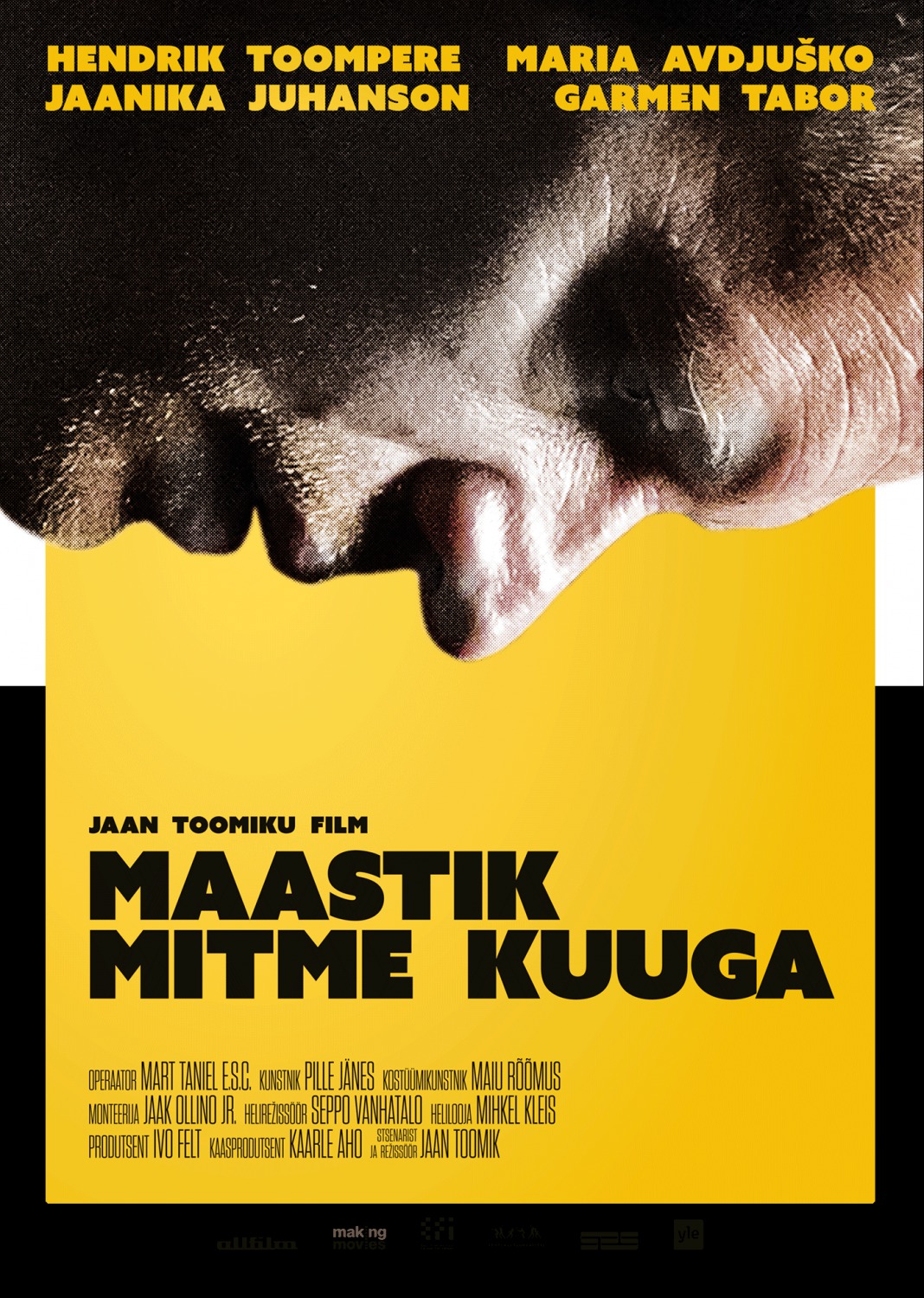 Extra Large Movie Poster Image for Maastik mitme kuuga 