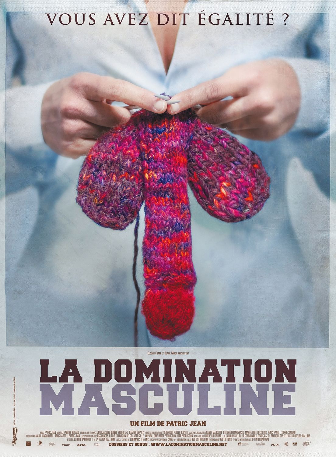 Extra Large Movie Poster Image for La Domination Masculine 