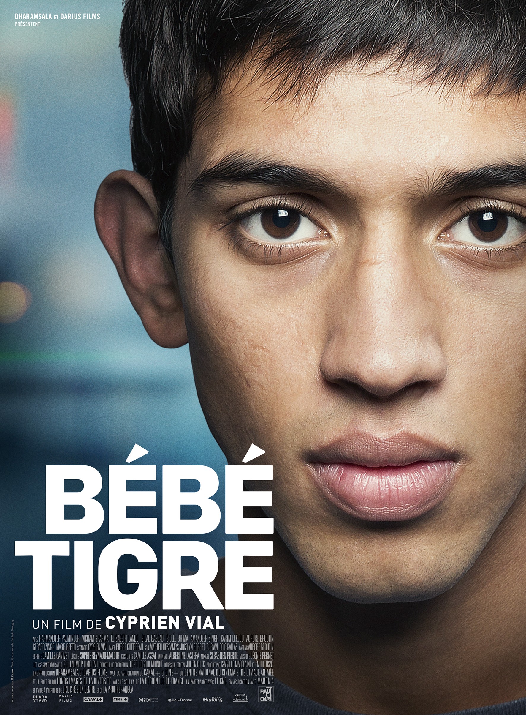 Mega Sized Movie Poster Image for Bébé tigre 