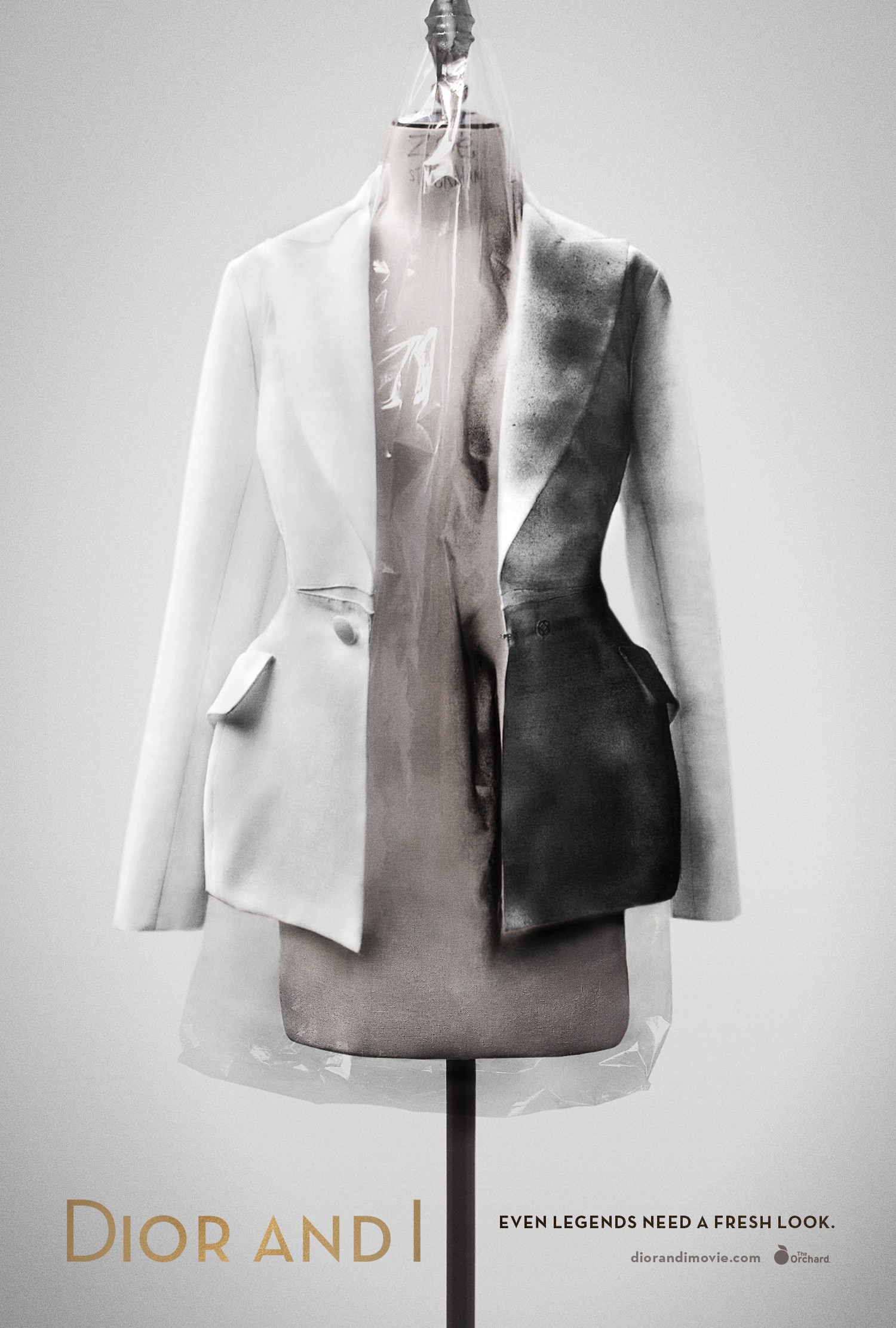 Mega Sized Movie Poster Image for Dior and I (#2 of 2)