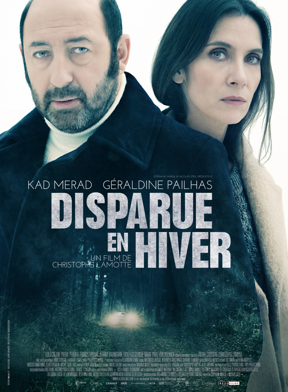 Extra Large Movie Poster Image for Disparue en hiver 