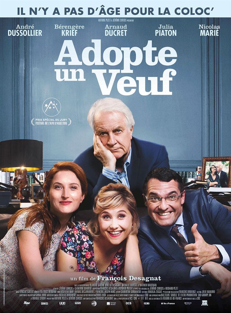 Extra Large Movie Poster Image for Adopte un veuf 