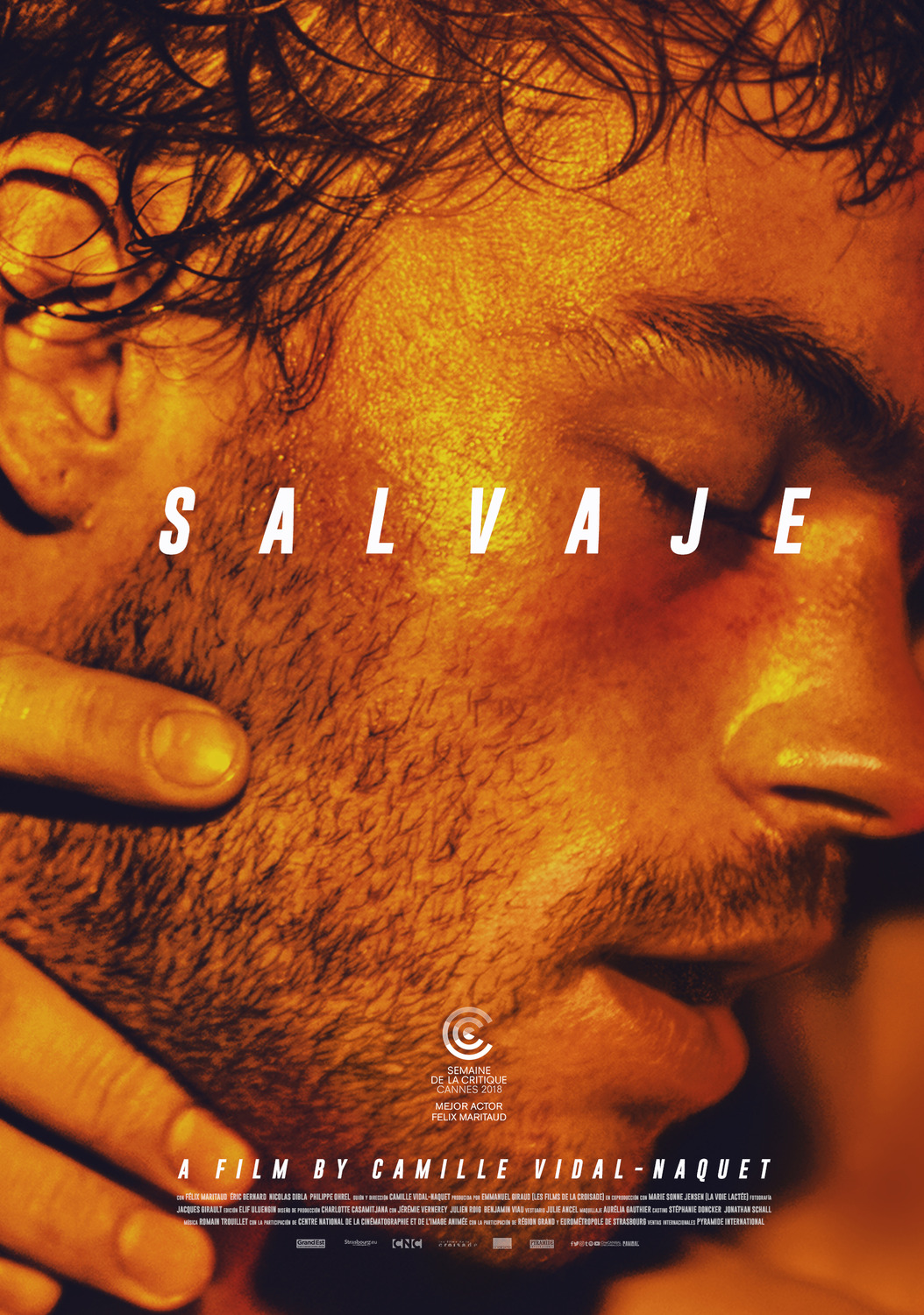 Extra Large Movie Poster Image for Sauvage (#4 of 7)