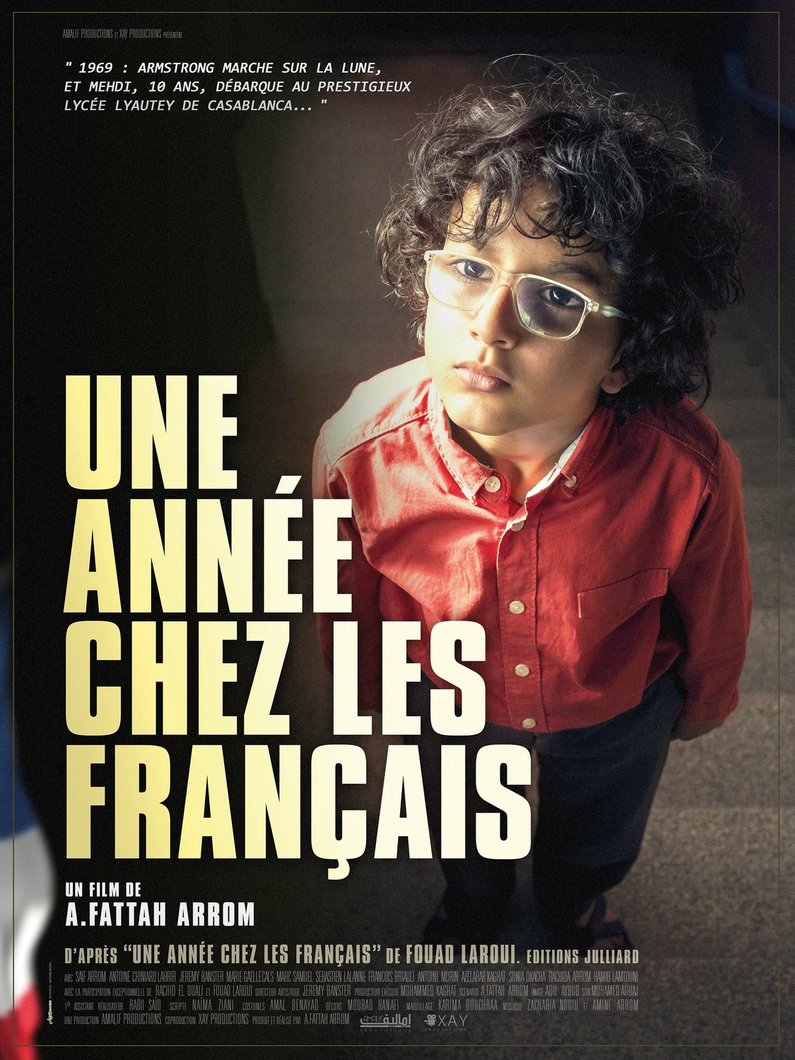 Extra Large Movie Poster Image for Une année chez les Français 