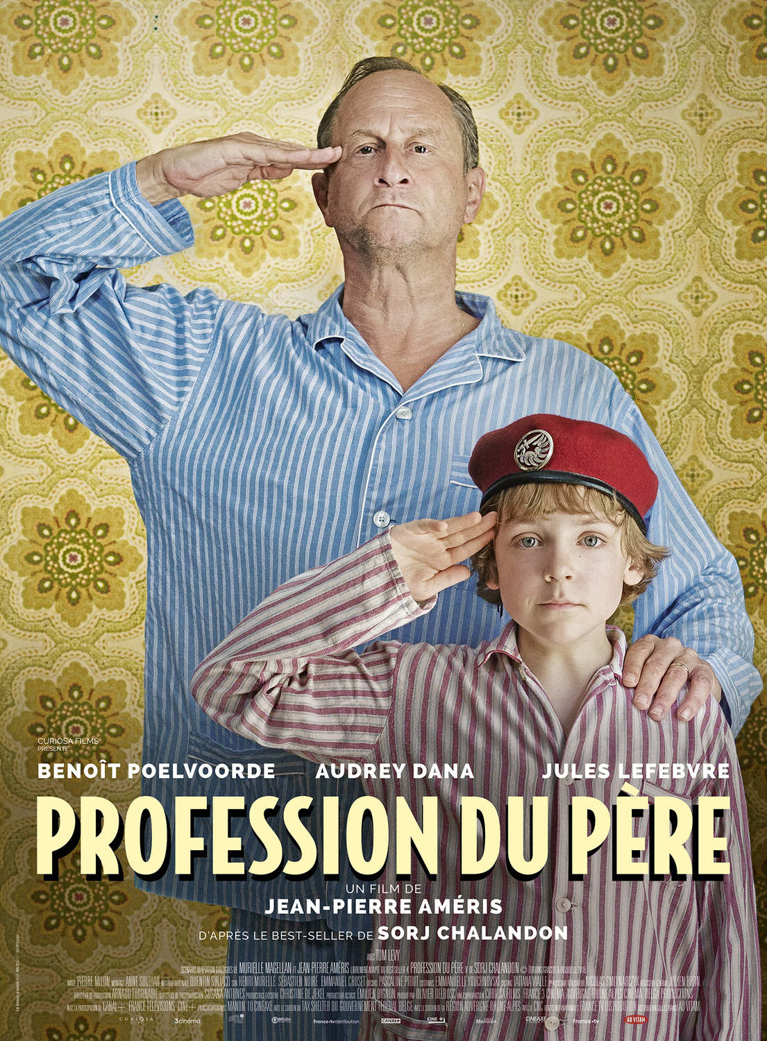 Extra Large Movie Poster Image for Profession du père 