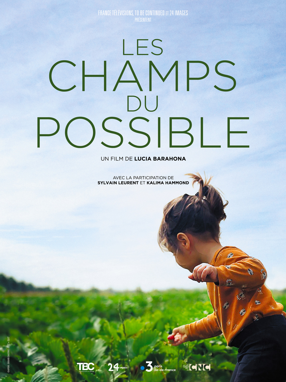 Extra Large Movie Poster Image for Les Champs du Possible 
