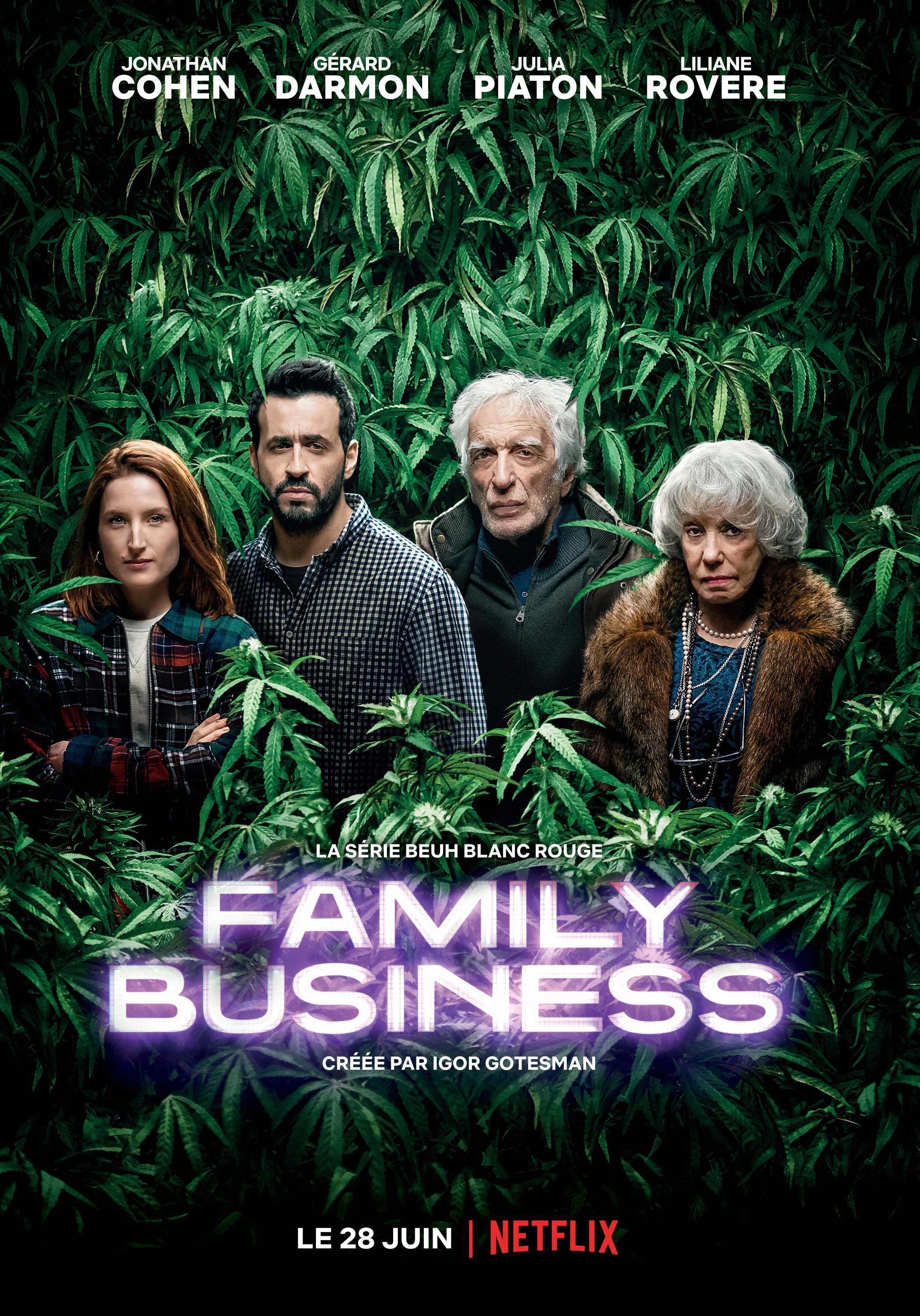 Mega Sized TV Poster Image for Family Business (#3 of 3)