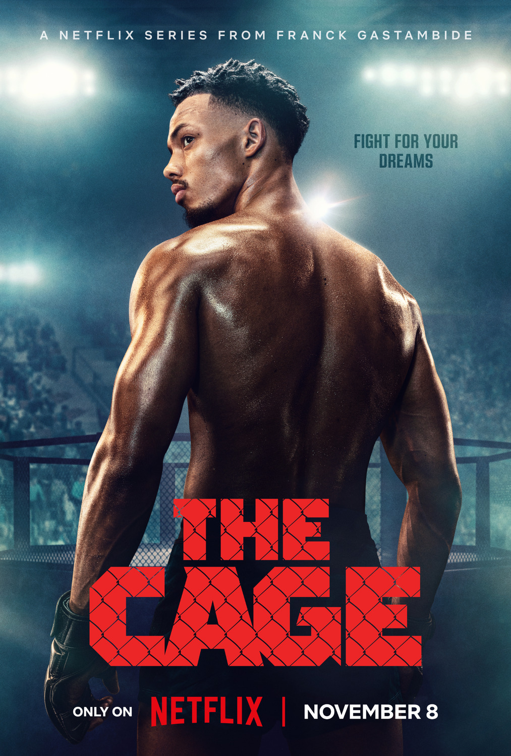 Extra Large TV Poster Image for La Cage (#1 of 4)