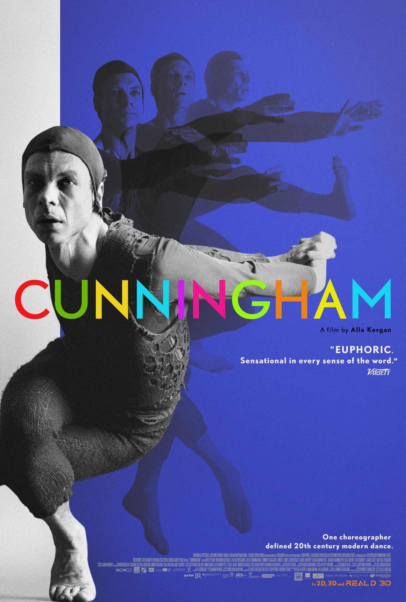 Mega Sized Movie Poster Image for Cunningham (#1 of 2)