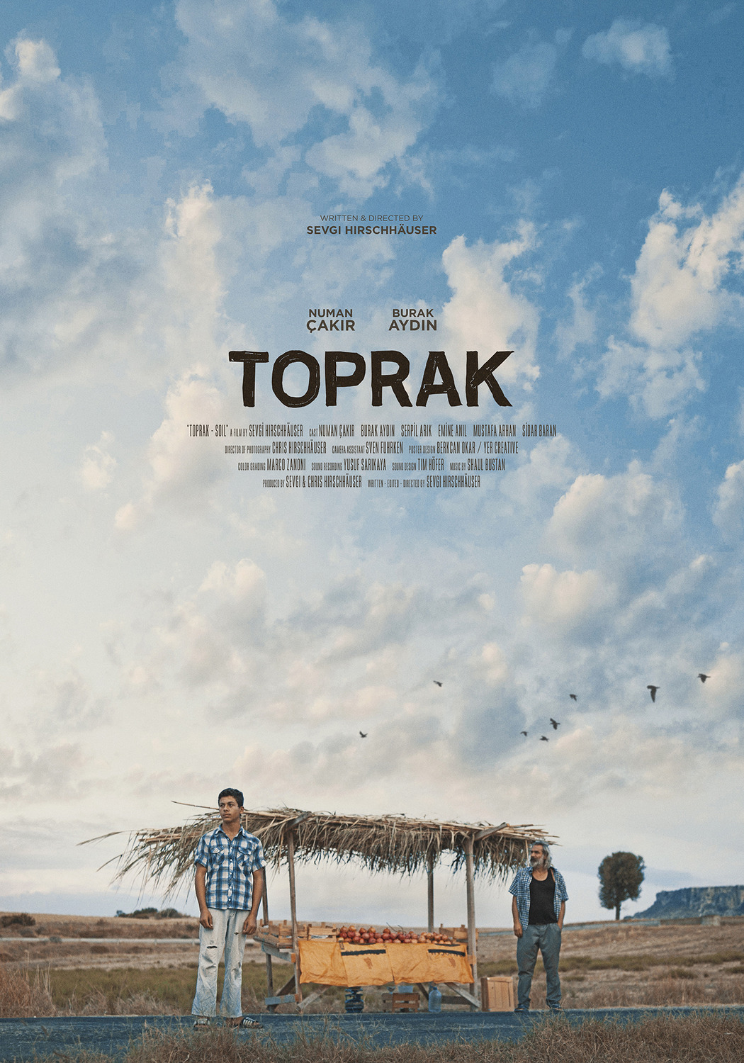 Extra Large Movie Poster Image for Toprak 