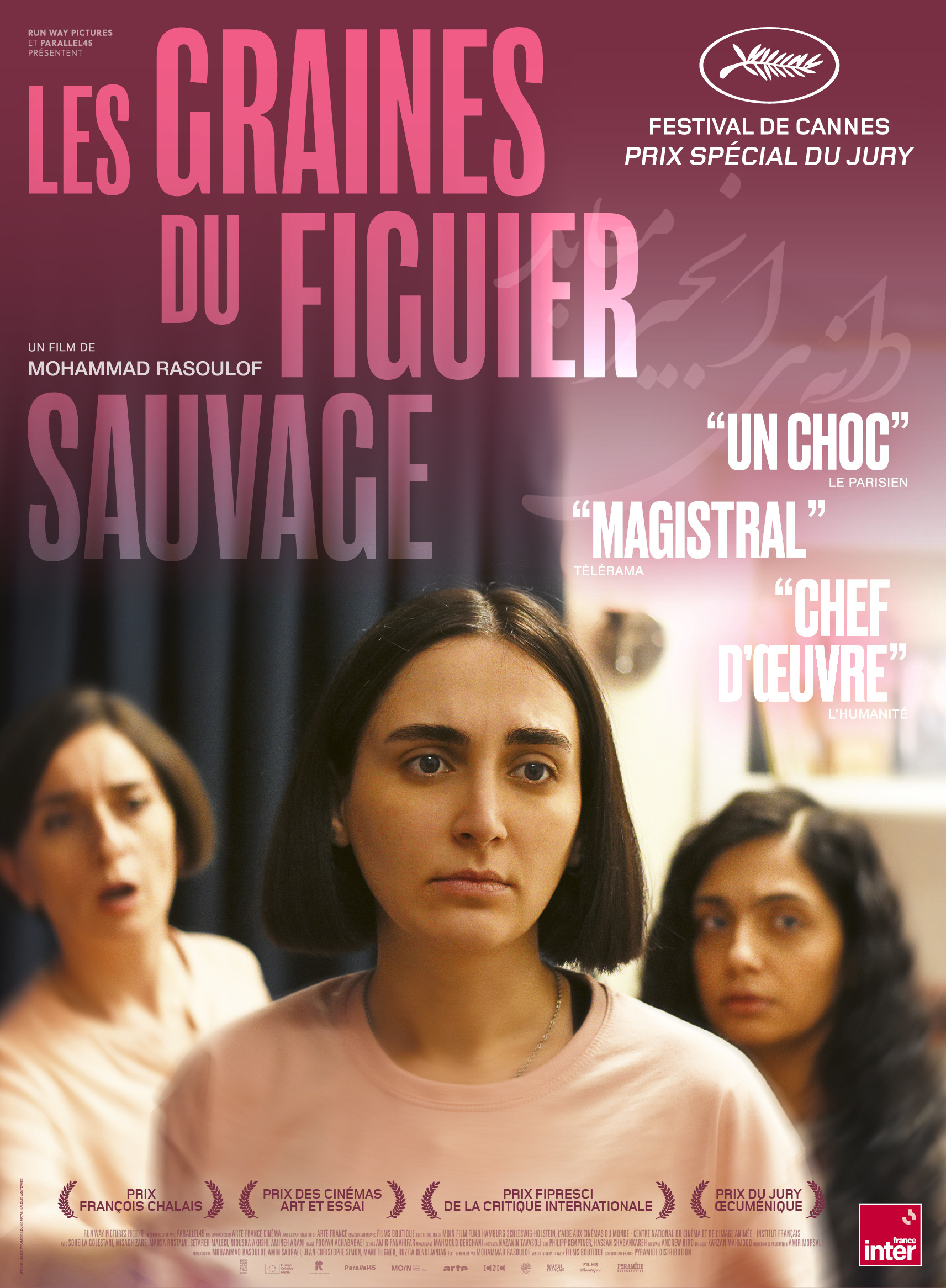 Mega Sized Movie Poster Image for Dane-ye anjir-e ma'abed (#2 of 10)