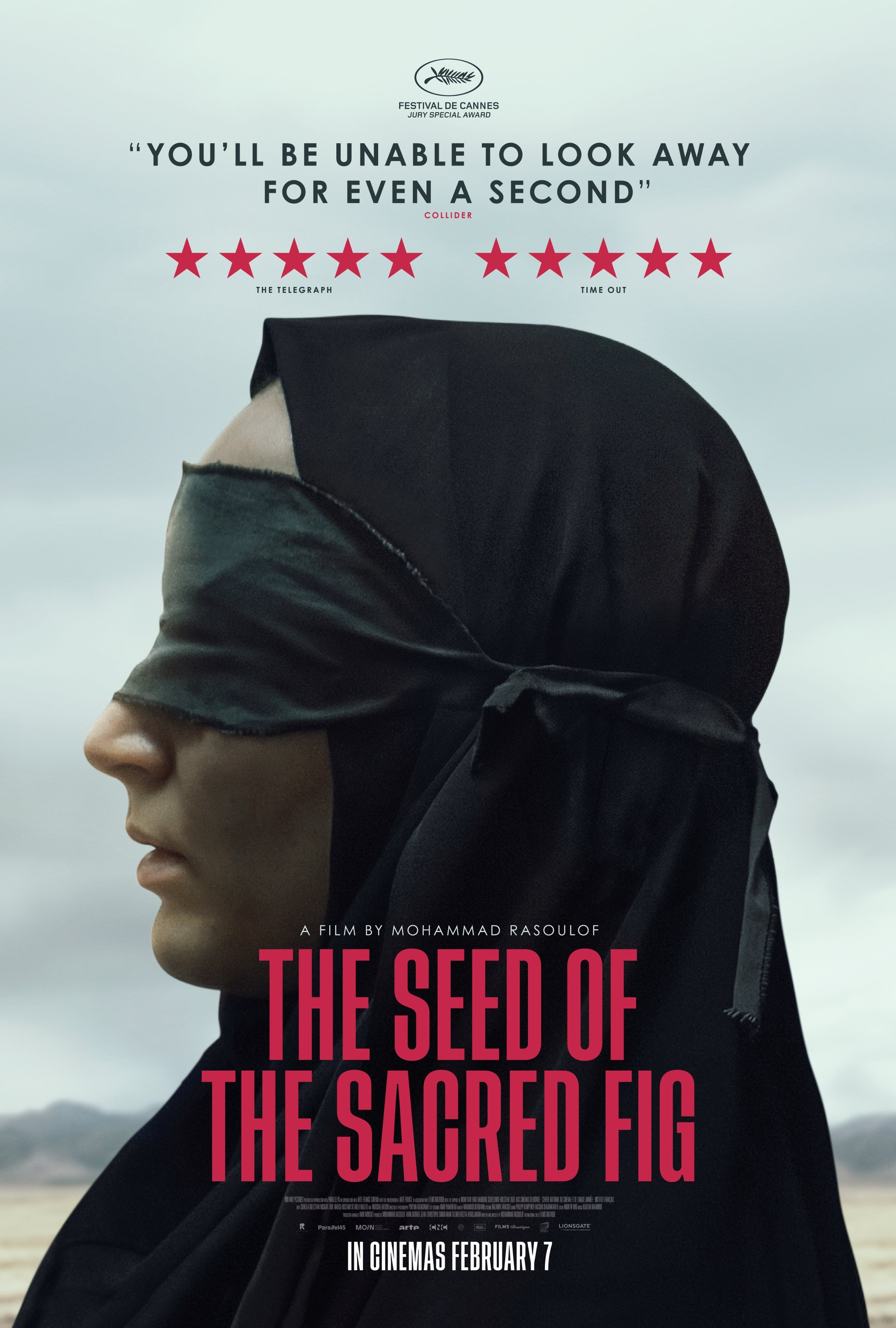 Mega Sized Movie Poster Image for Dane-ye anjir-e ma'abed (#5 of 10)