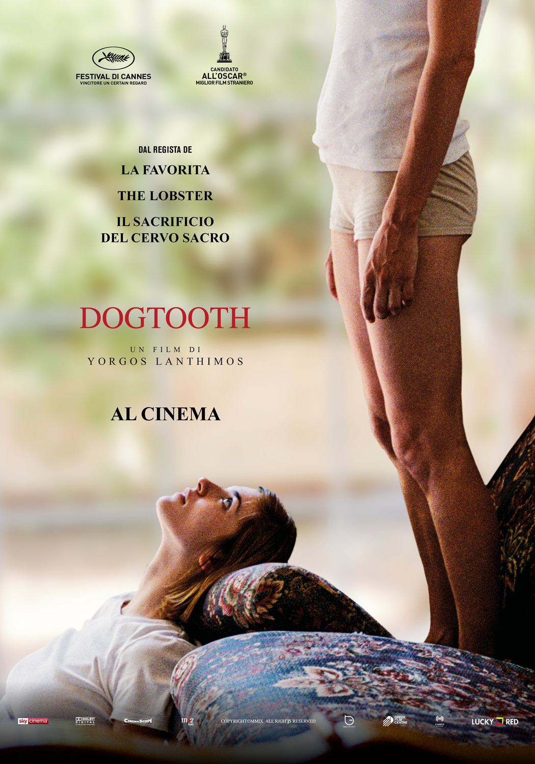 Extra Large Movie Poster Image for Dogtooth (aka Kynodontas) (#7 of 10)