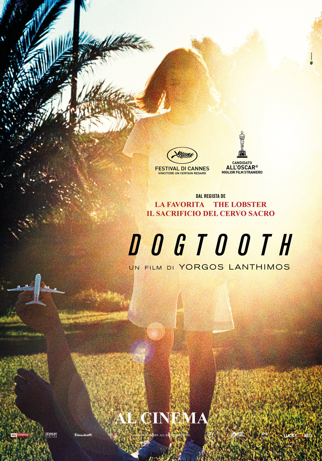 Extra Large Movie Poster Image for Dogtooth (aka Kynodontas) (#8 of 9)
