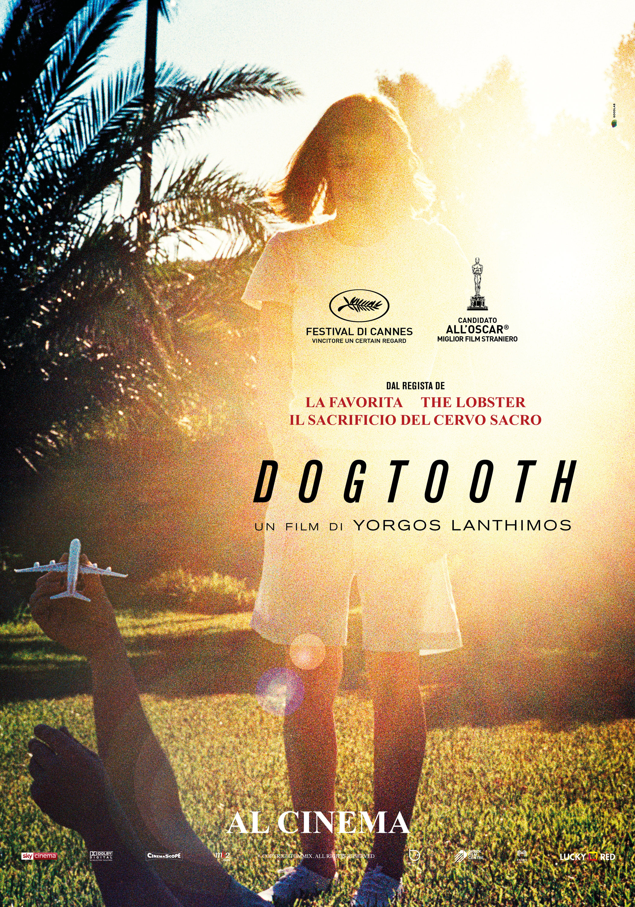 Mega Sized Movie Poster Image for Dogtooth (aka Kynodontas) (#8 of 9)
