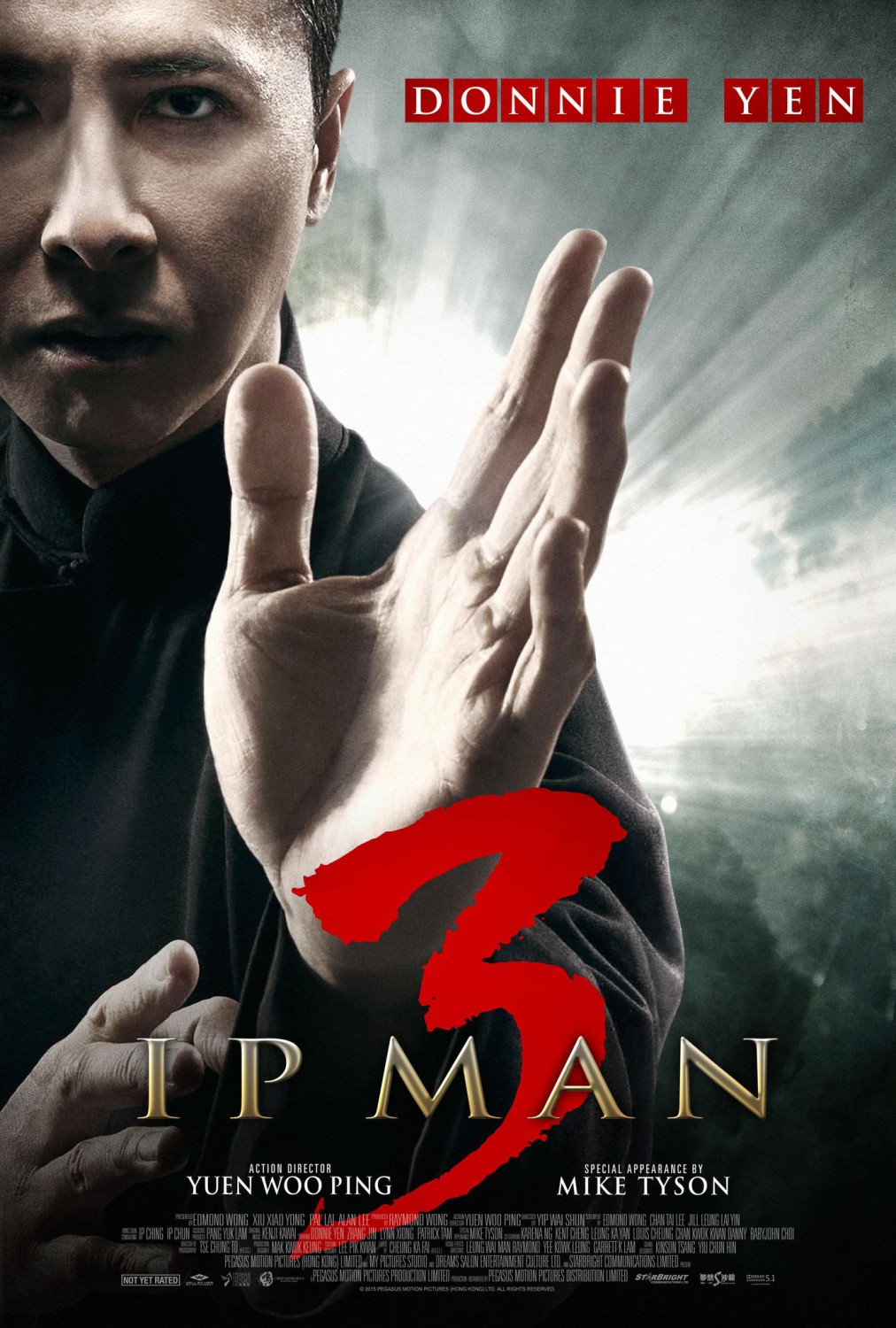 Extra Large Movie Poster Image for Yip Man 3 (#8 of 8)