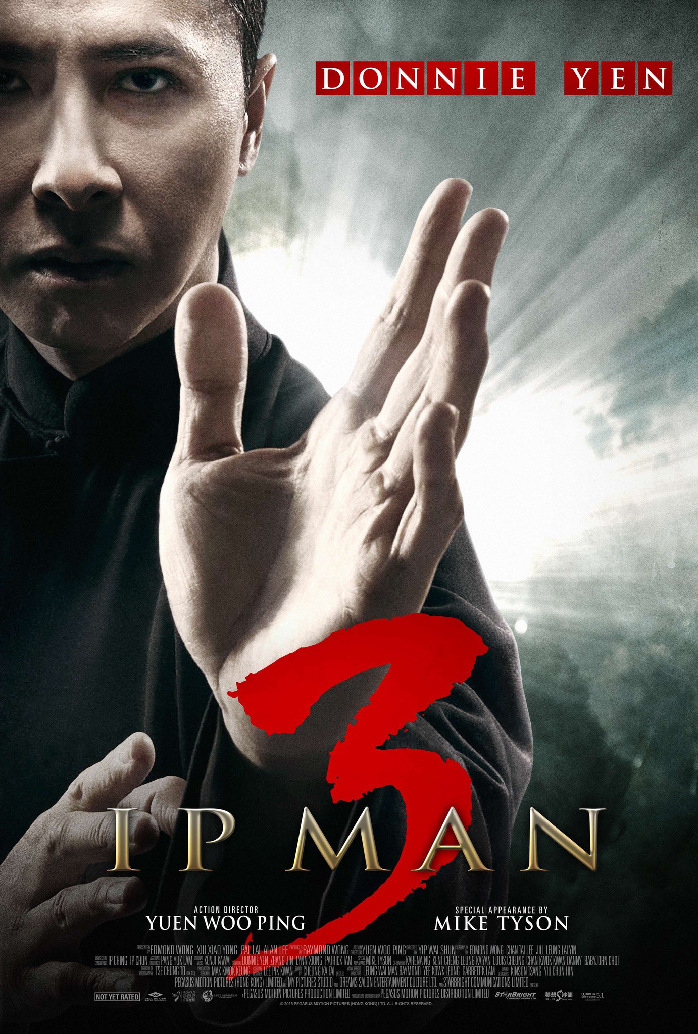 Mega Sized Movie Poster Image for Yip Man 3 (#8 of 8)