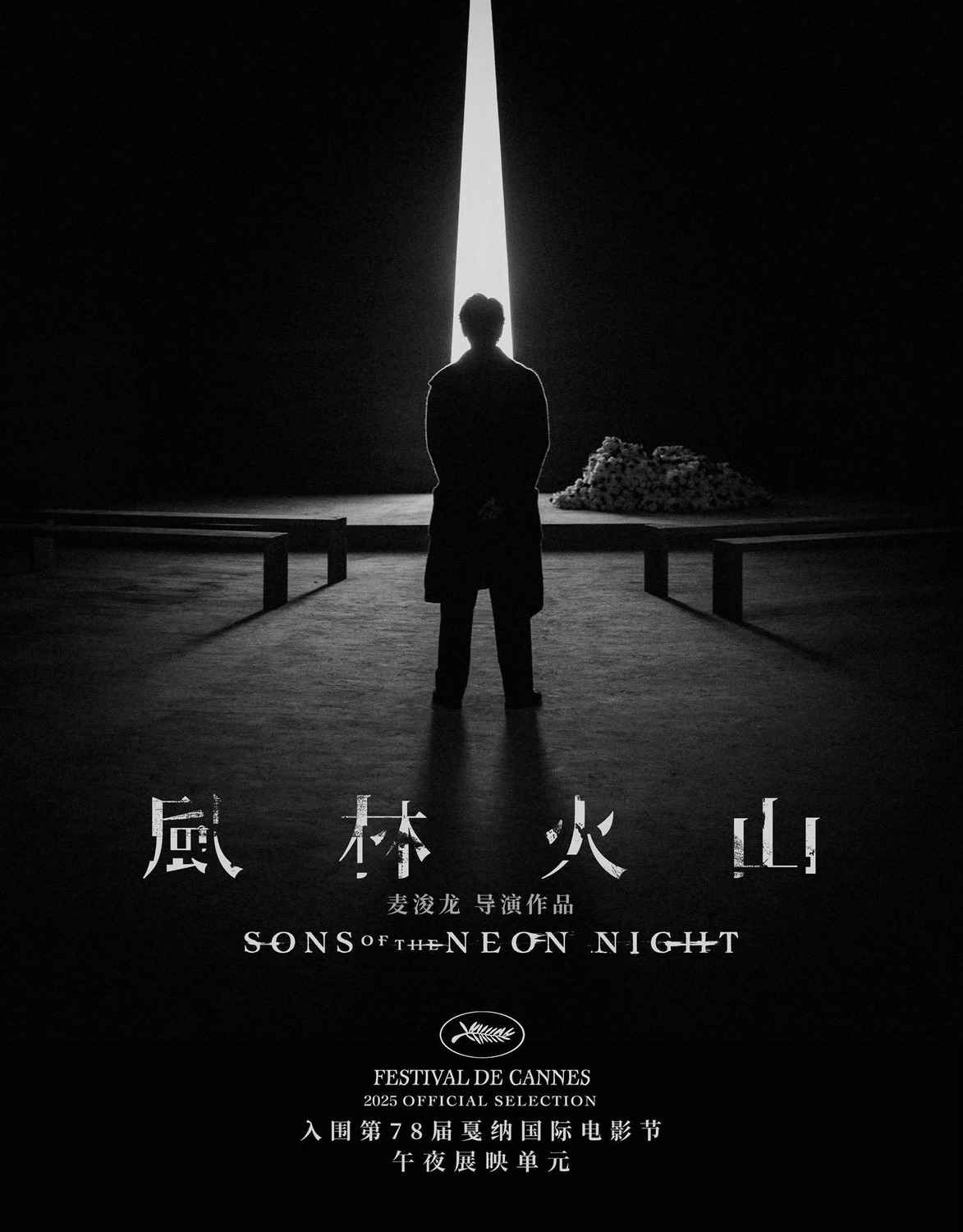 Extra Large Movie Poster Image for Fung lam fo saan 