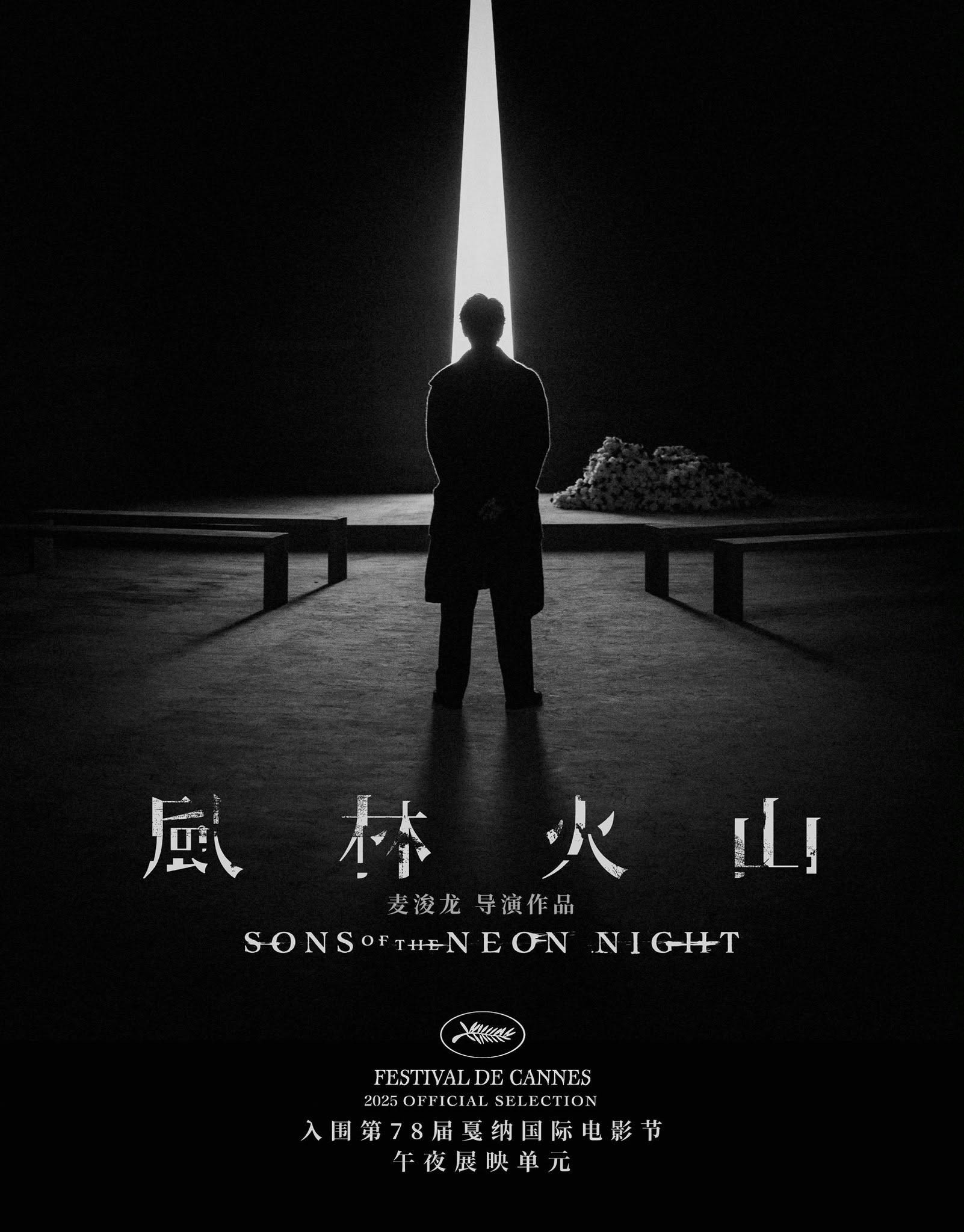 Mega Sized Movie Poster Image for Fung lam fo saan 