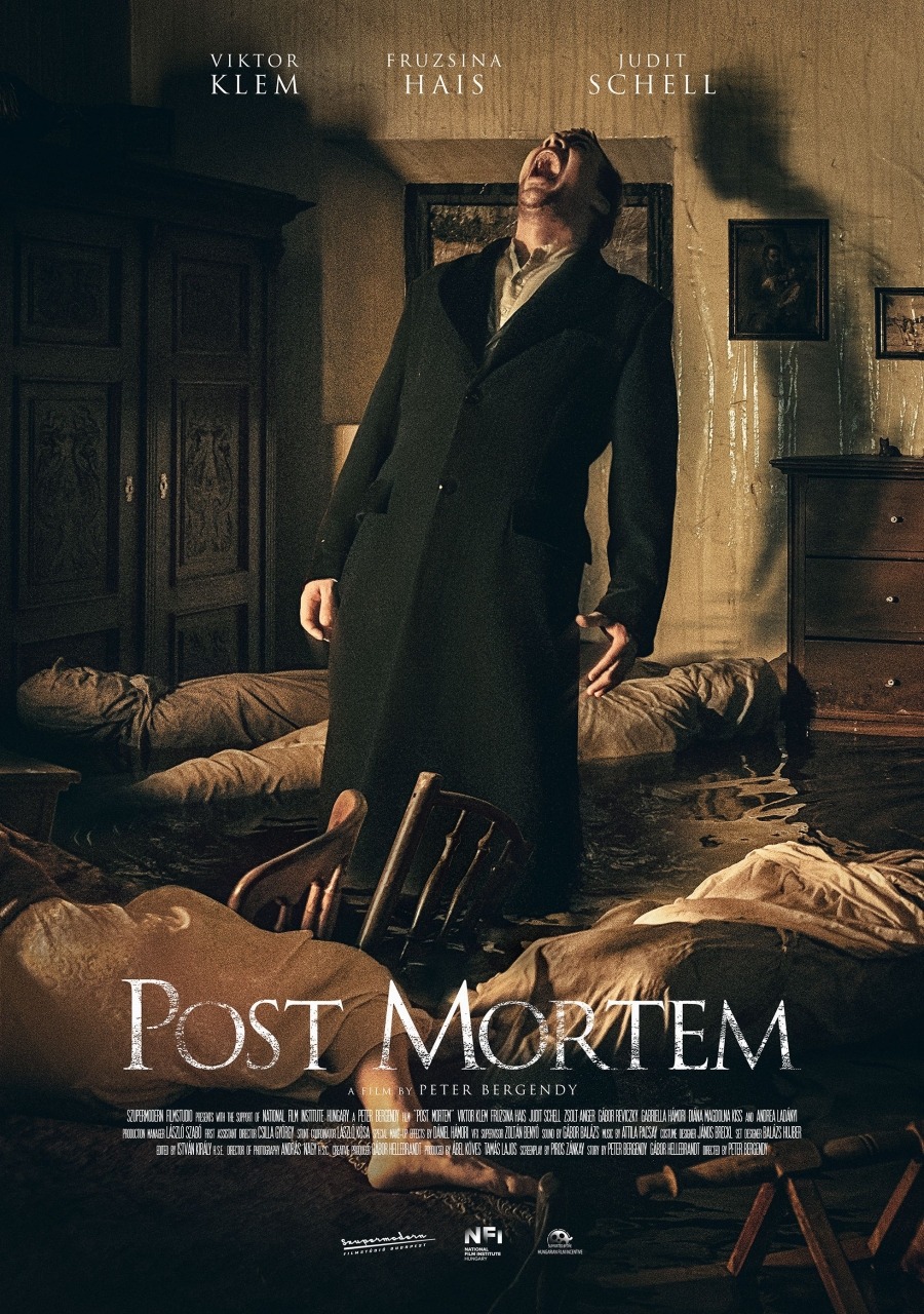 Extra Large Movie Poster Image for Post Mortem (#1 of 3)