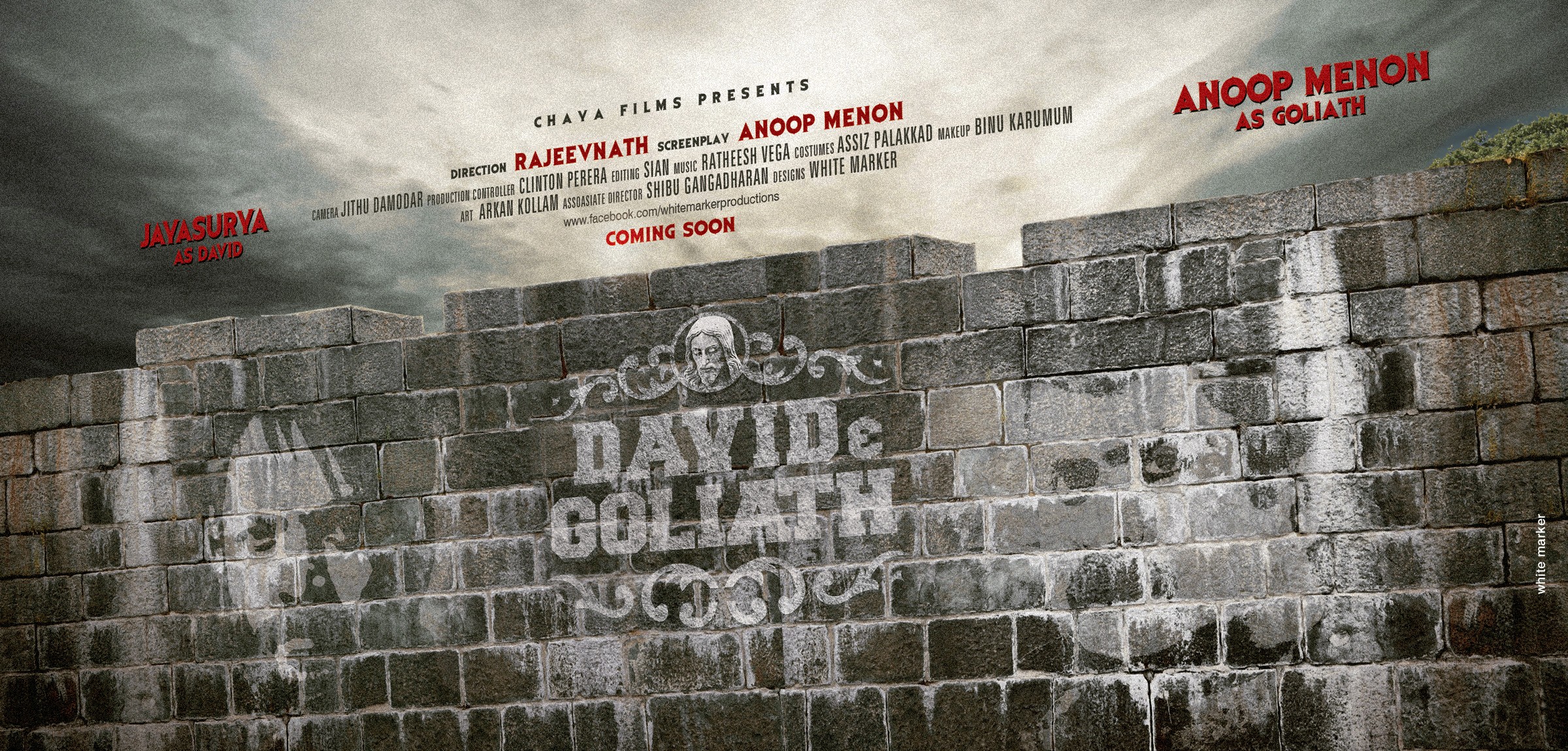 Mega Sized Movie Poster Image for David and Goliath (#4 of 4)