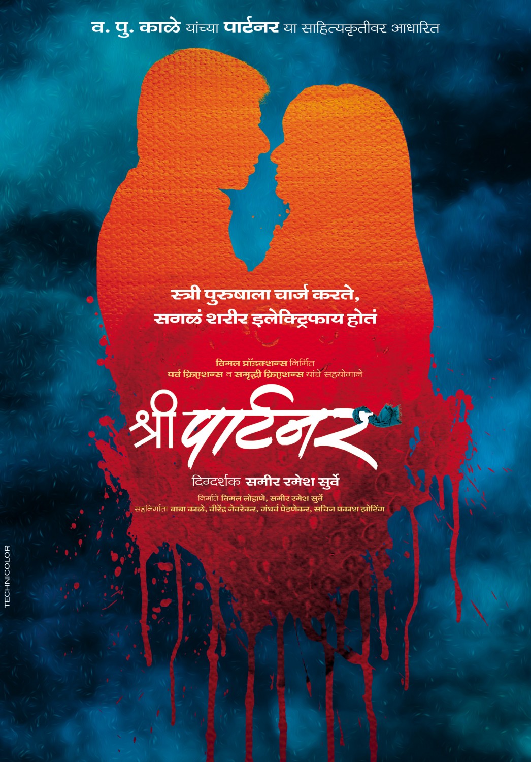 Extra Large Movie Poster Image for Shree Partner (#1 of 11)