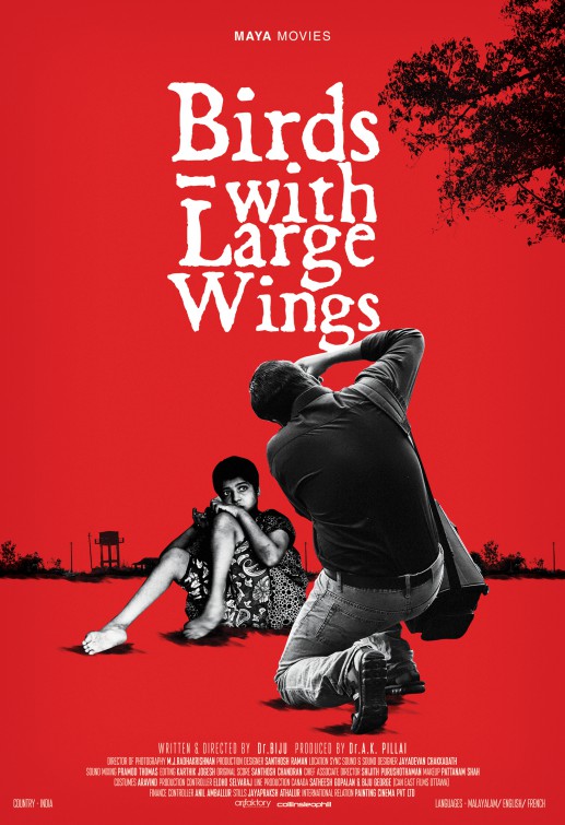 Birds with Large Wings Movie Poster