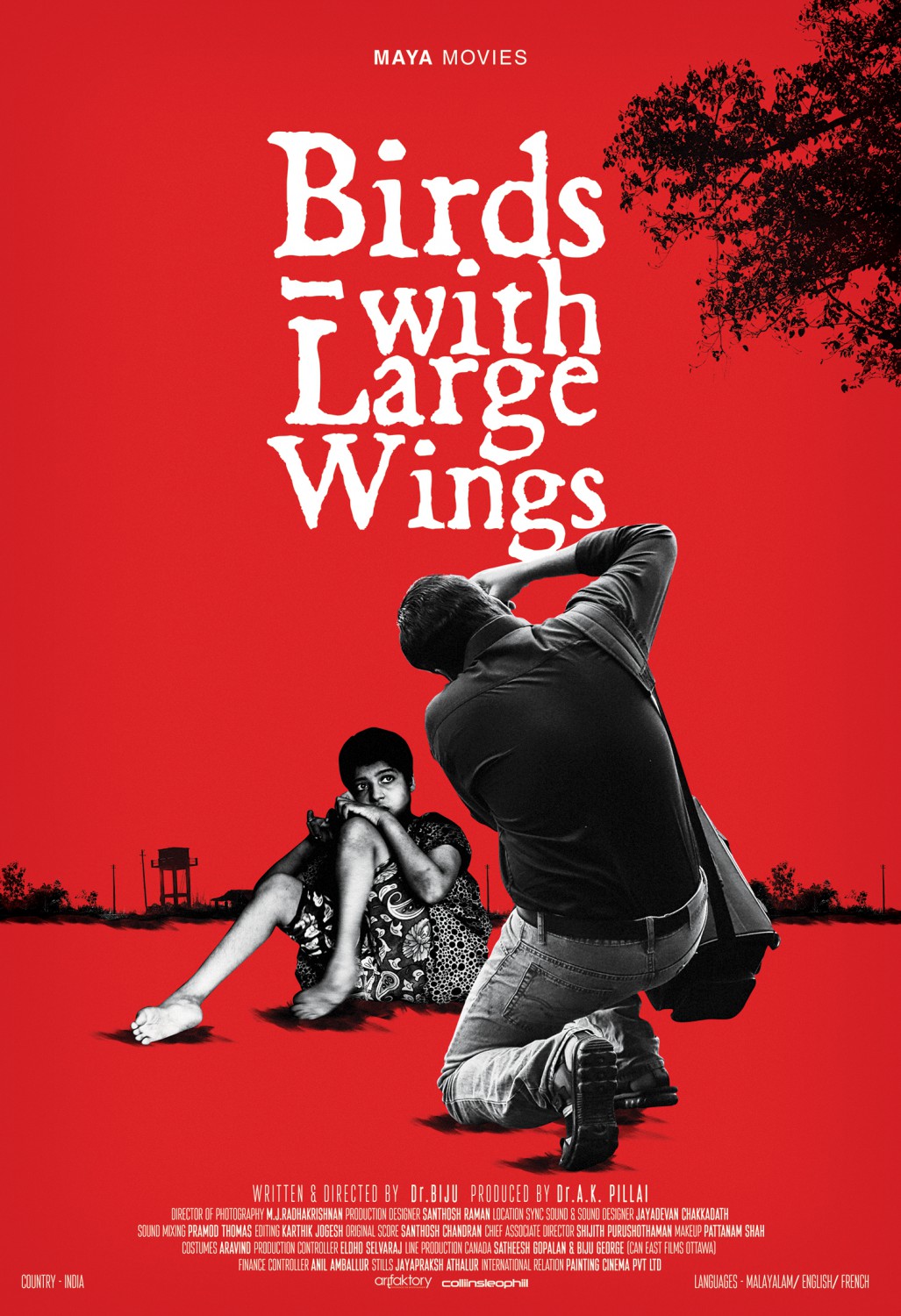 Extra Large Movie Poster Image for Birds with Large Wings (#2 of 2)