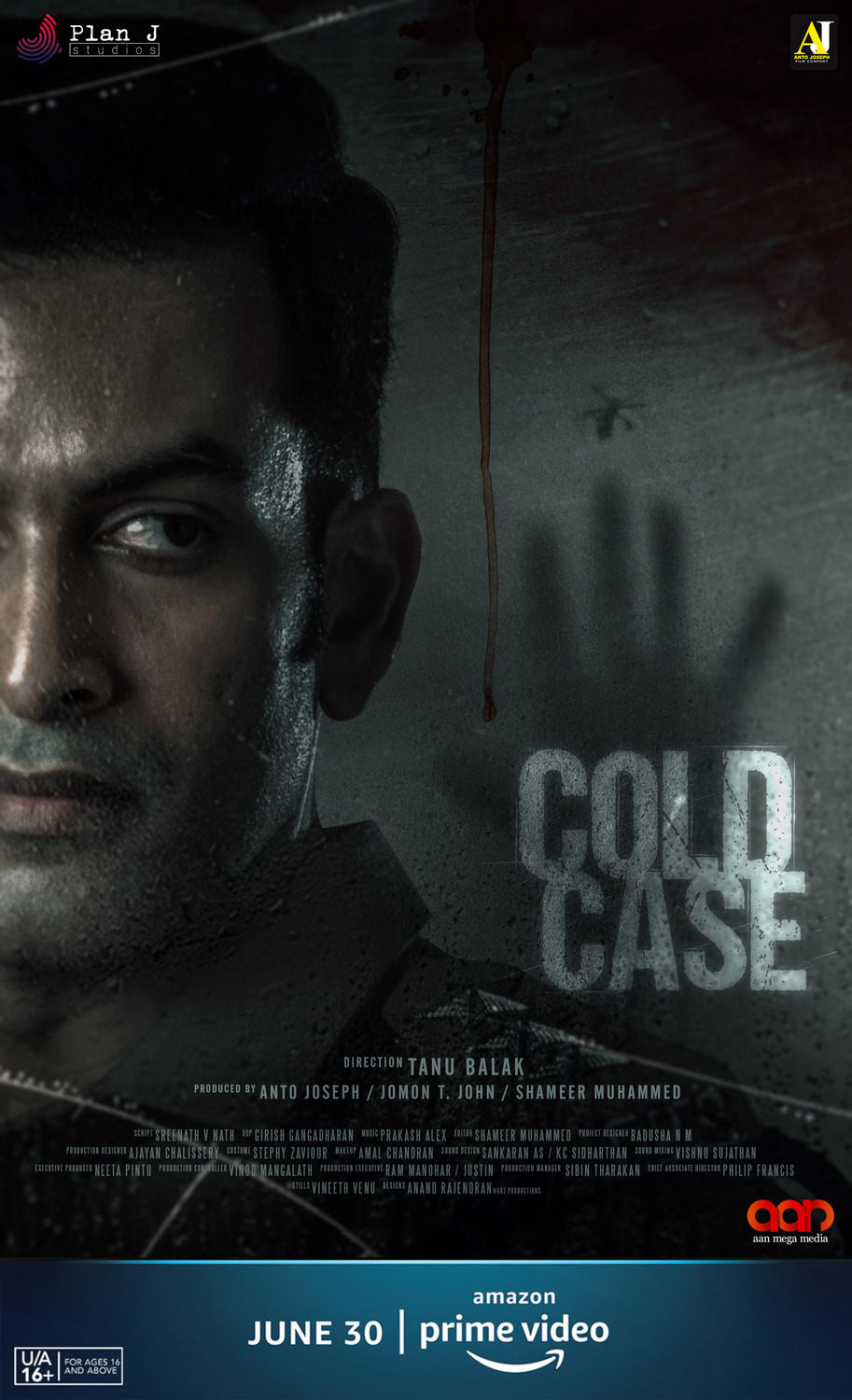 Extra Large Movie Poster Image for Cold Case (#2 of 9)