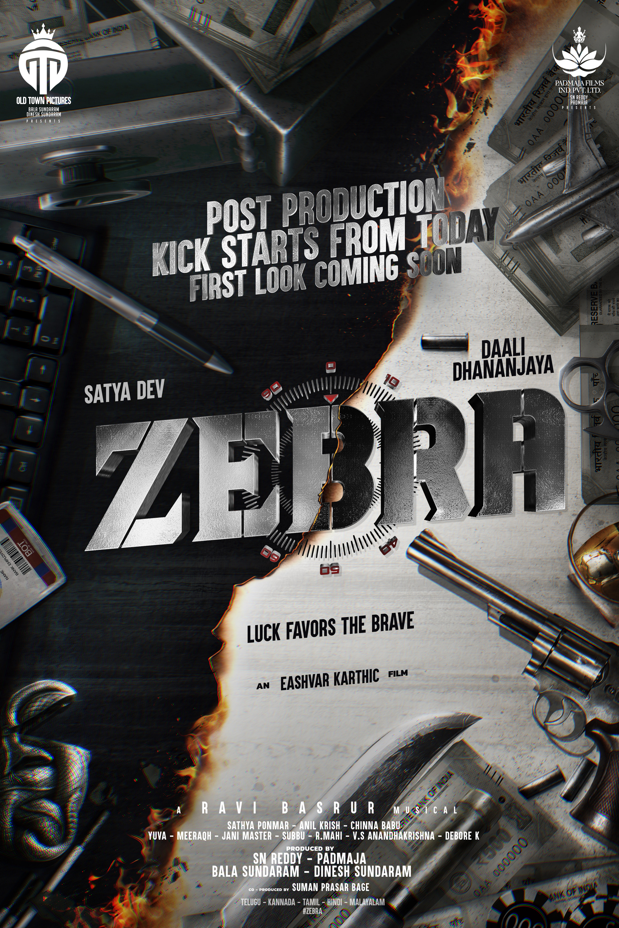 Mega Sized Movie Poster Image for Zebra (#1 of 3)
