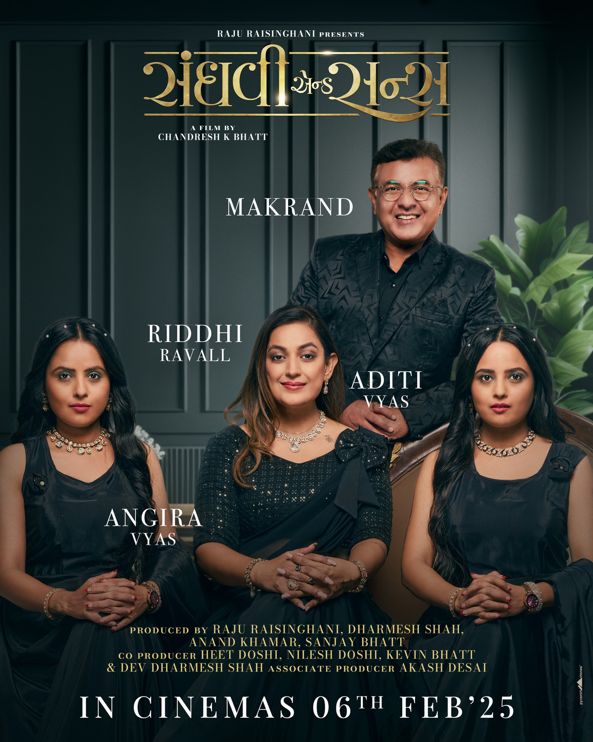 Extra Large Movie Poster Image for Sanghavi and Sons (#15 of 18)