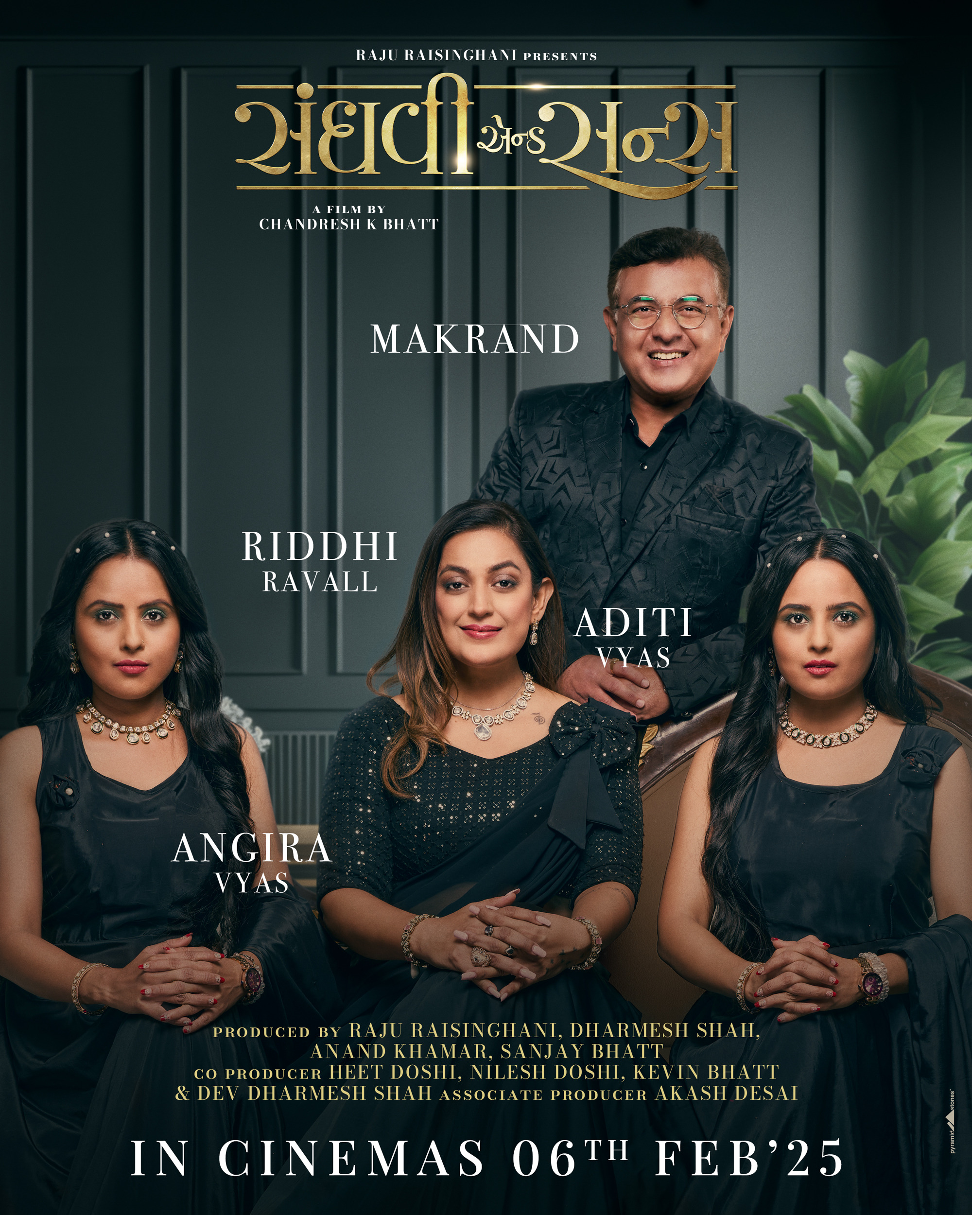 Mega Sized Movie Poster Image for Sanghavi and Sons (#15 of 18)