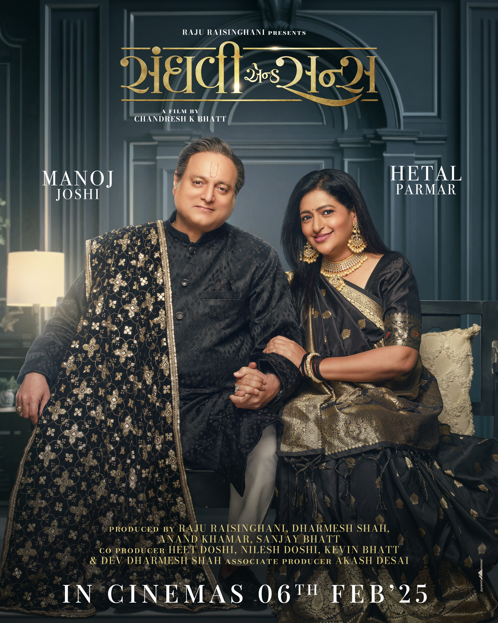 Mega Sized Movie Poster Image for Sanghavi and Sons (#16 of 18)