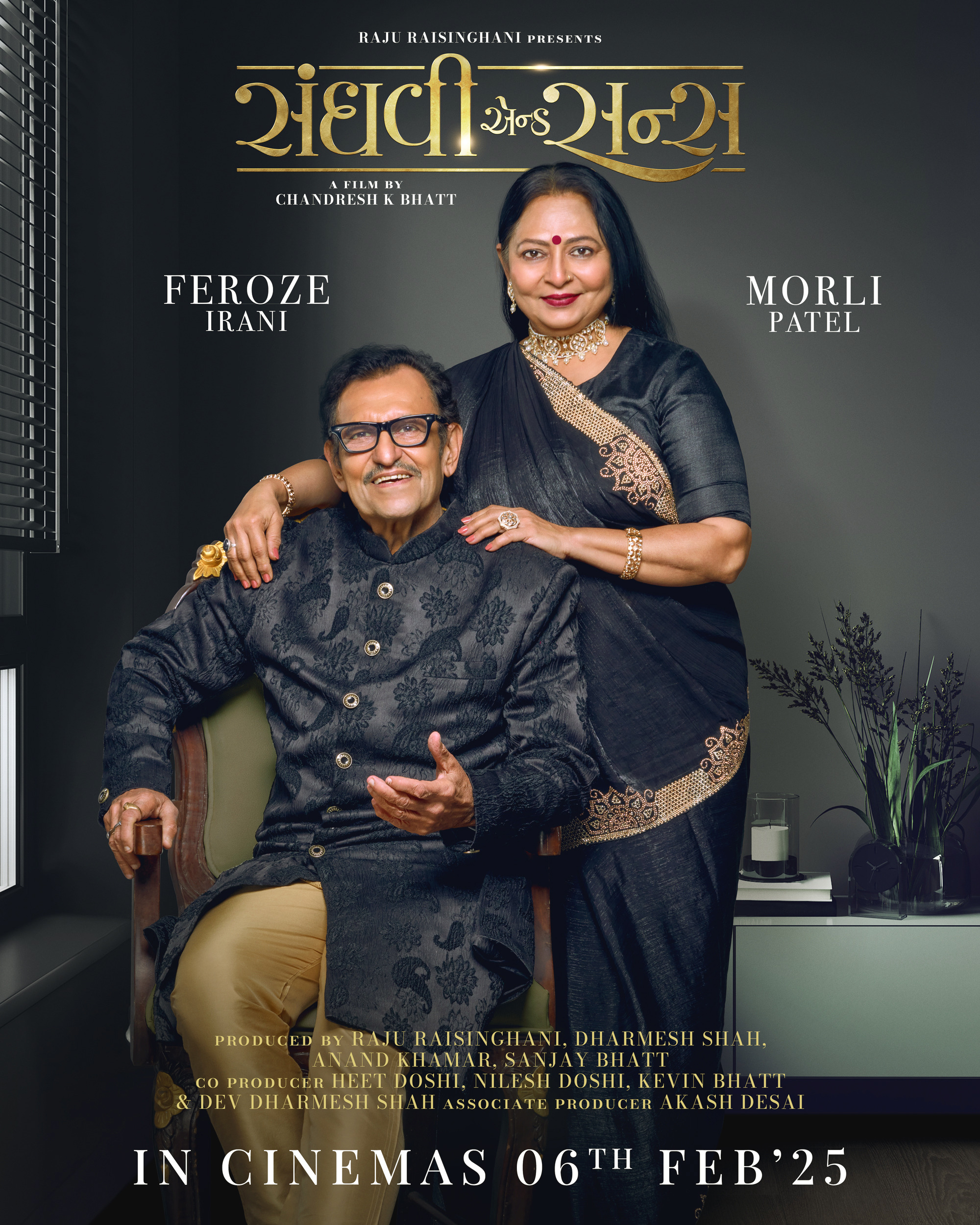 Mega Sized Movie Poster Image for Sanghavi and Sons (#6 of 18)