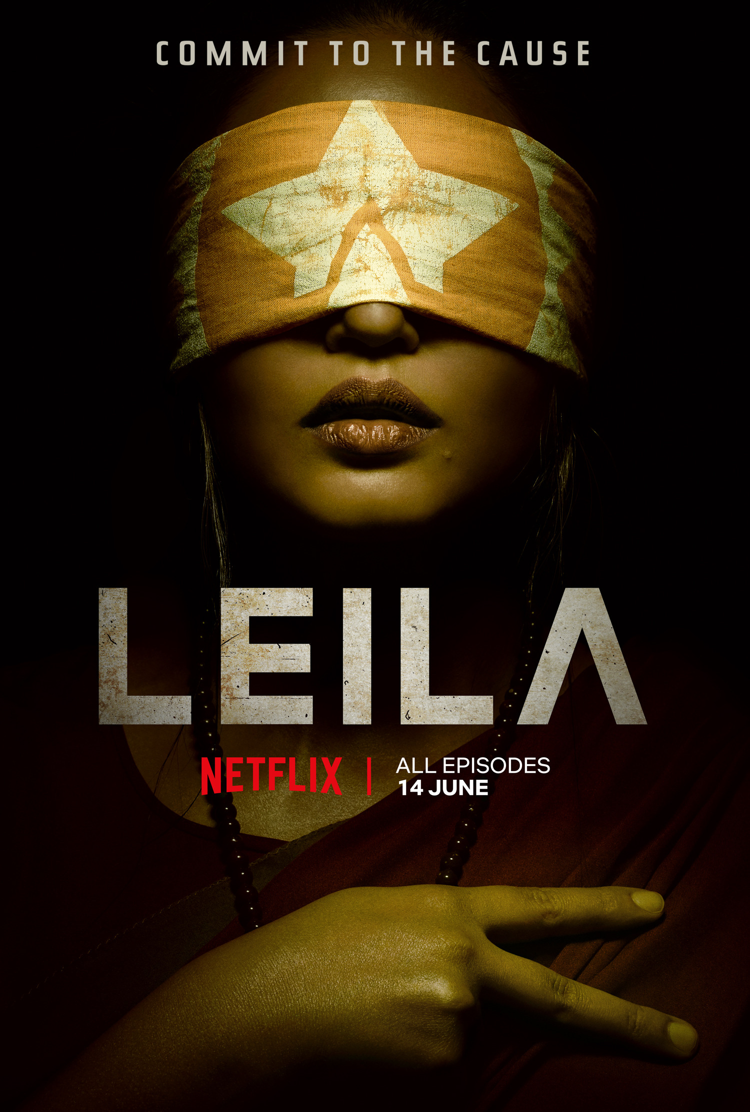 Mega Sized TV Poster Image for Leila (#1 of 7)