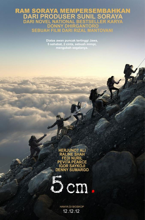 5 cm Movie Poster