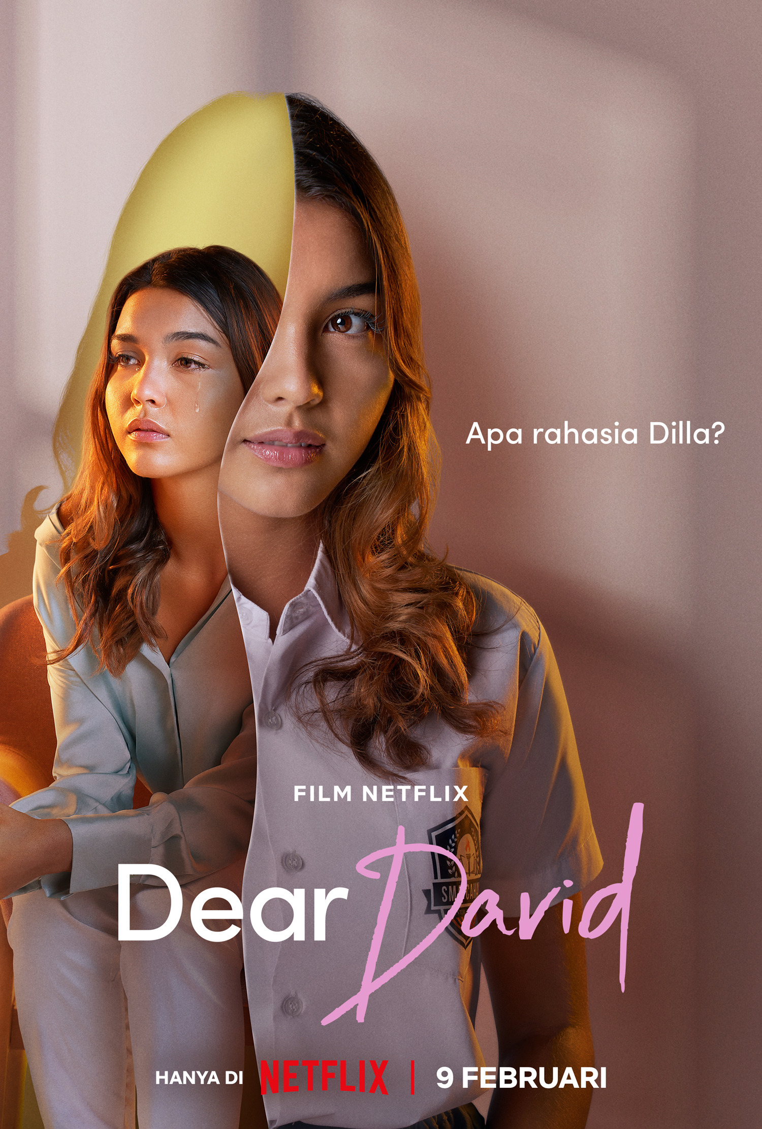 Mega Sized Movie Poster Image for Dear David (#4 of 5)