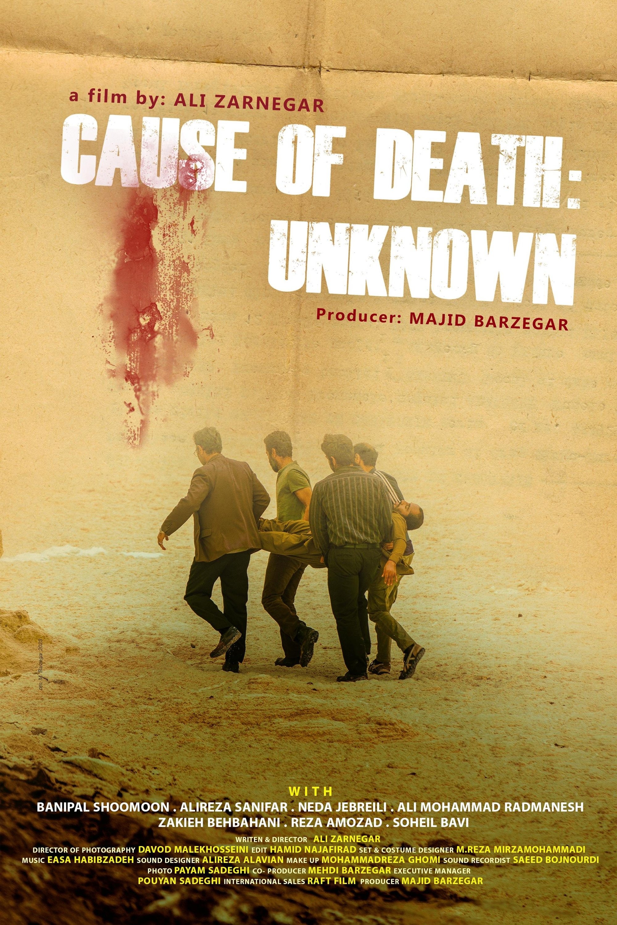 Mega Sized Movie Poster Image for Cause of Death: Unknown (#1 of 2)
