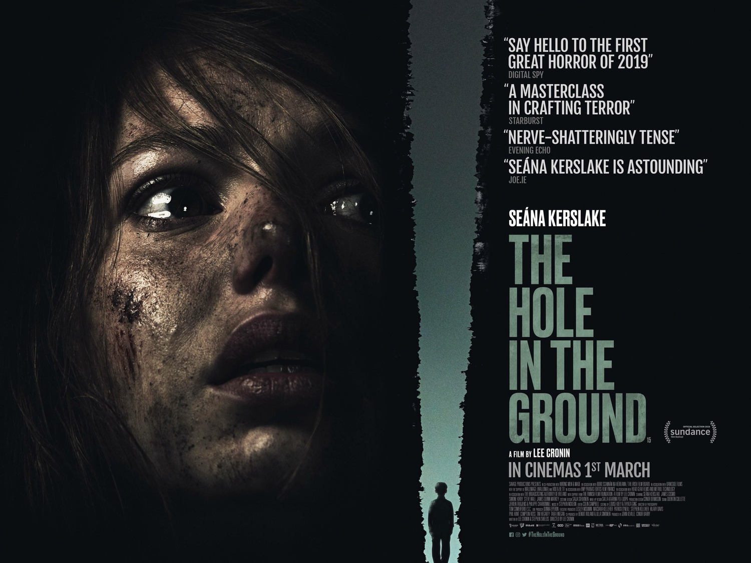 Extra Large Movie Poster Image for The Hole in the Ground (#2 of 5)