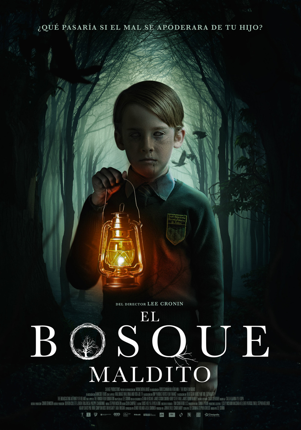 Extra Large Movie Poster Image for The Hole in the Ground (#5 of 5)