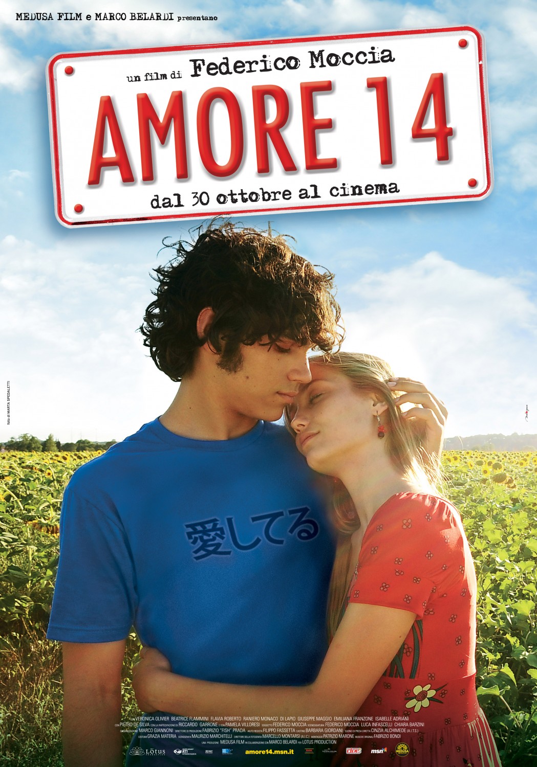 Extra Large Movie Poster Image for Amore 14 